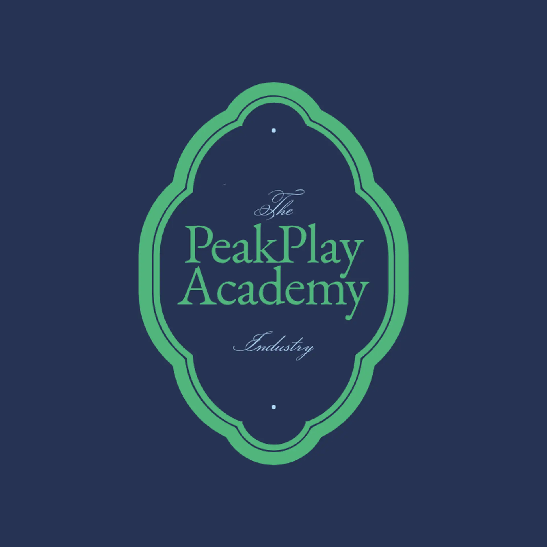 Pinnacle Sports Academy logo for sports academy
