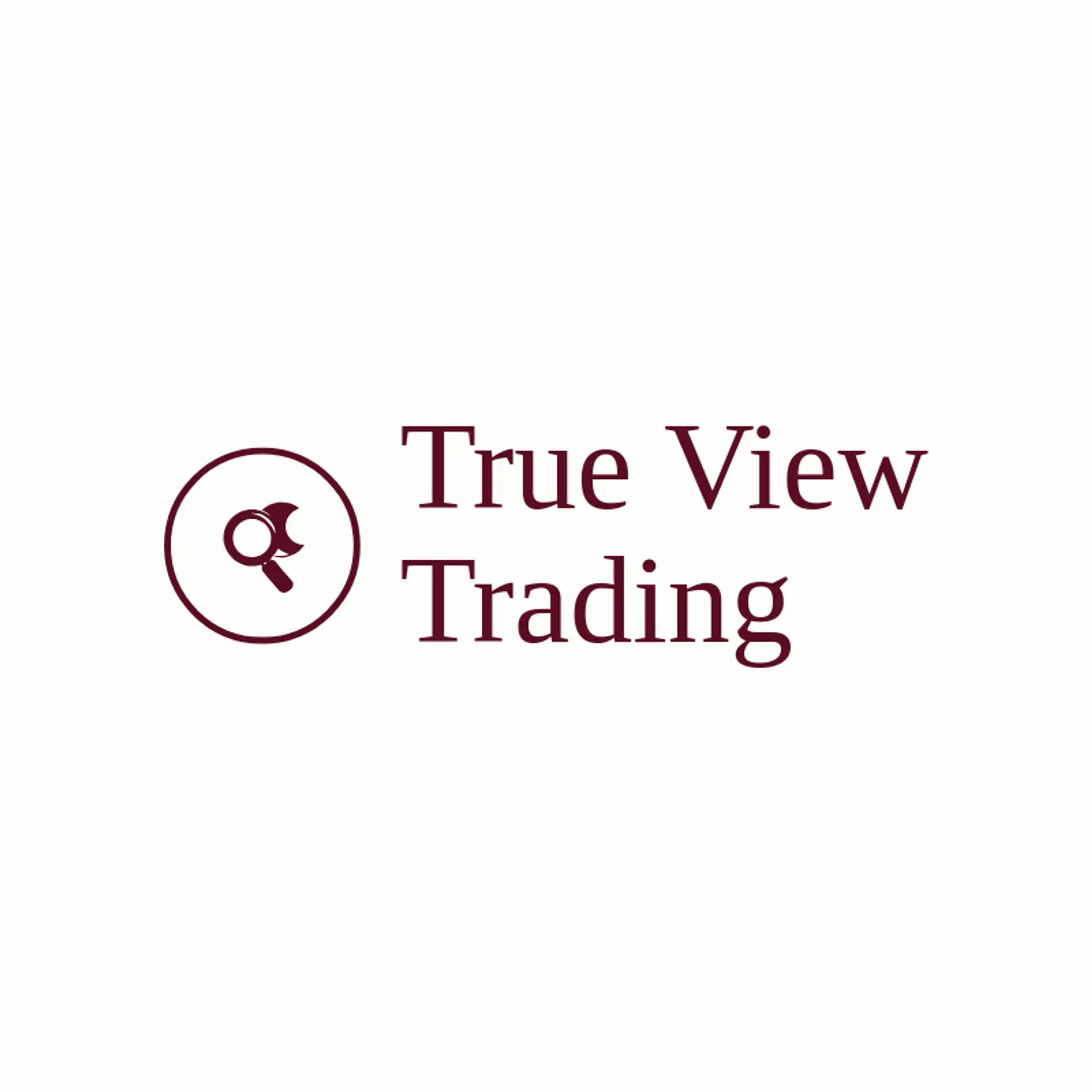 True View Trading logo for magnifying glass
