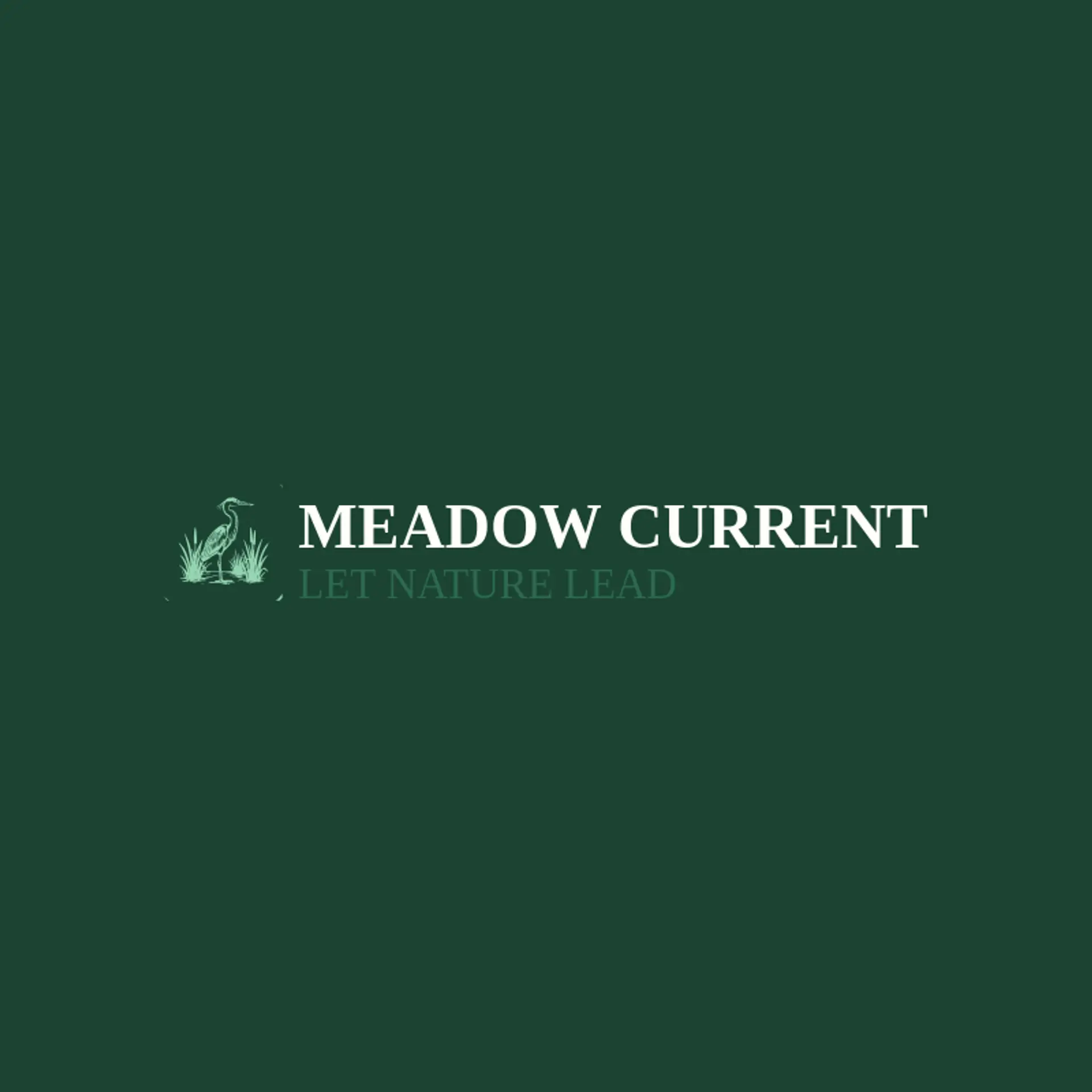 Meadow Current logo for river
