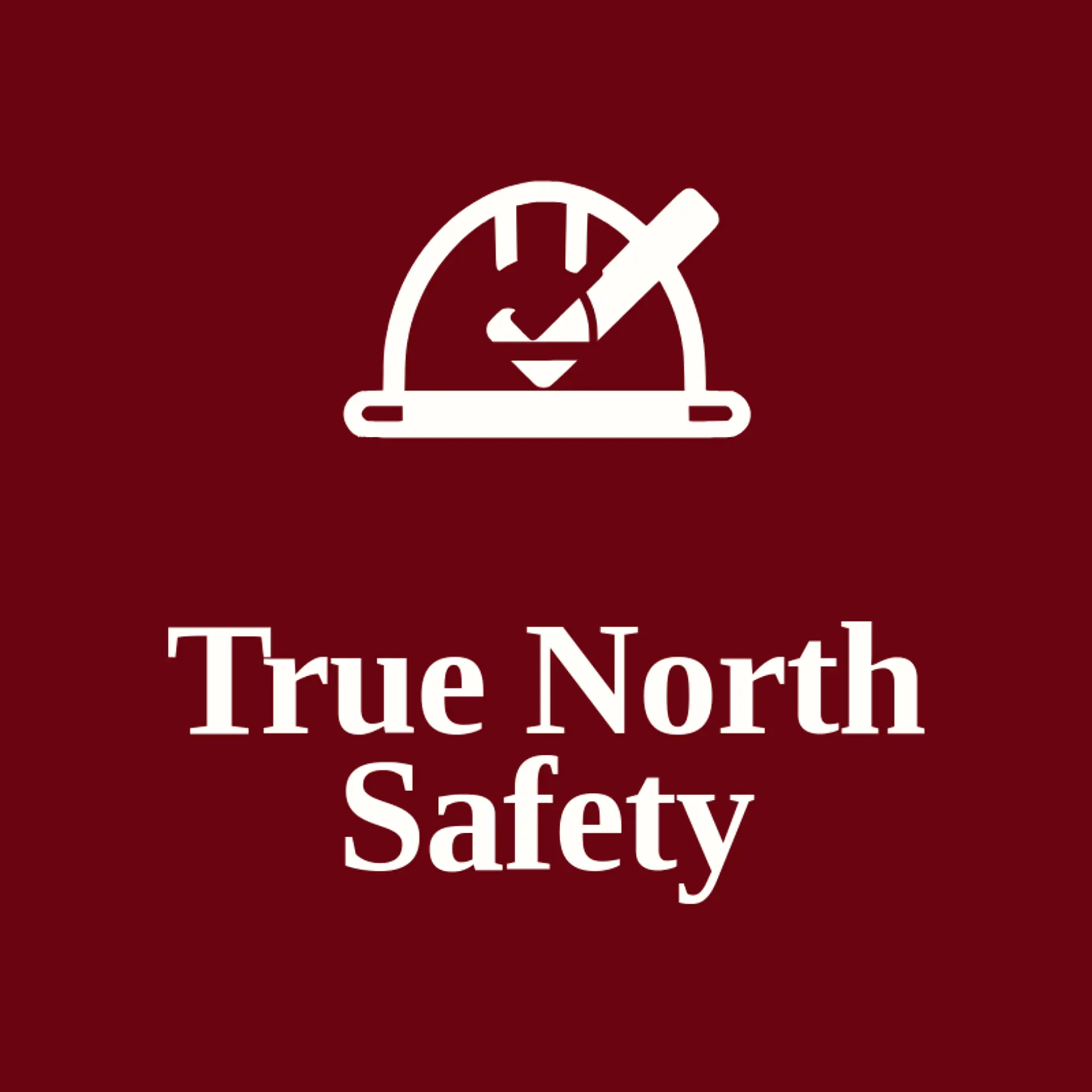 True North Safety logo for safety