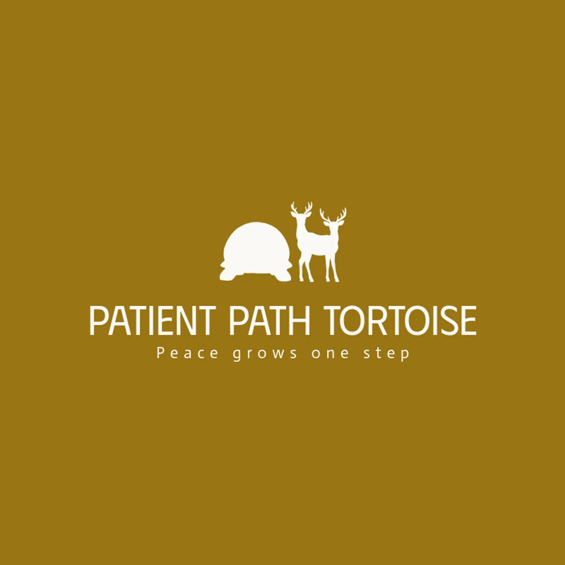 Patient Path Tortoise logo for jainism