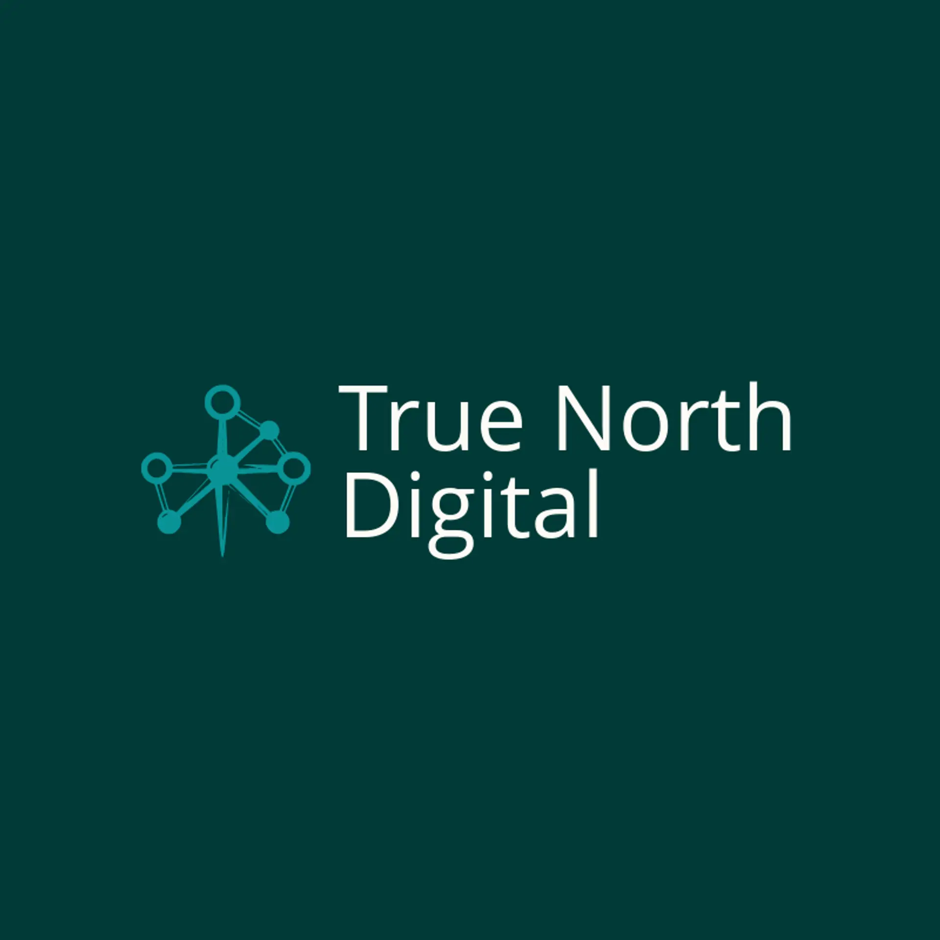 True North Digital logo for information technology
