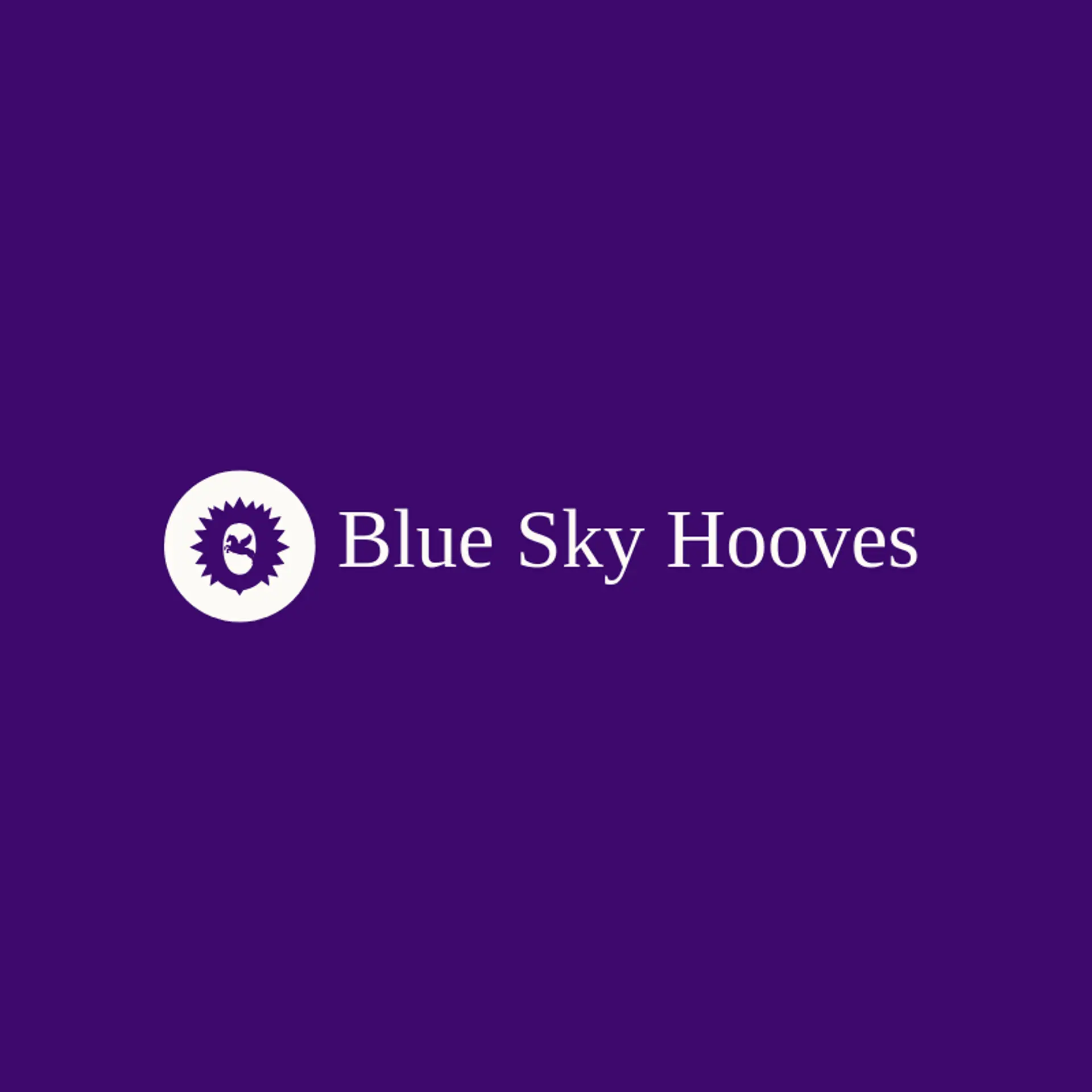 Blue Sky Hooves logo for pegasus