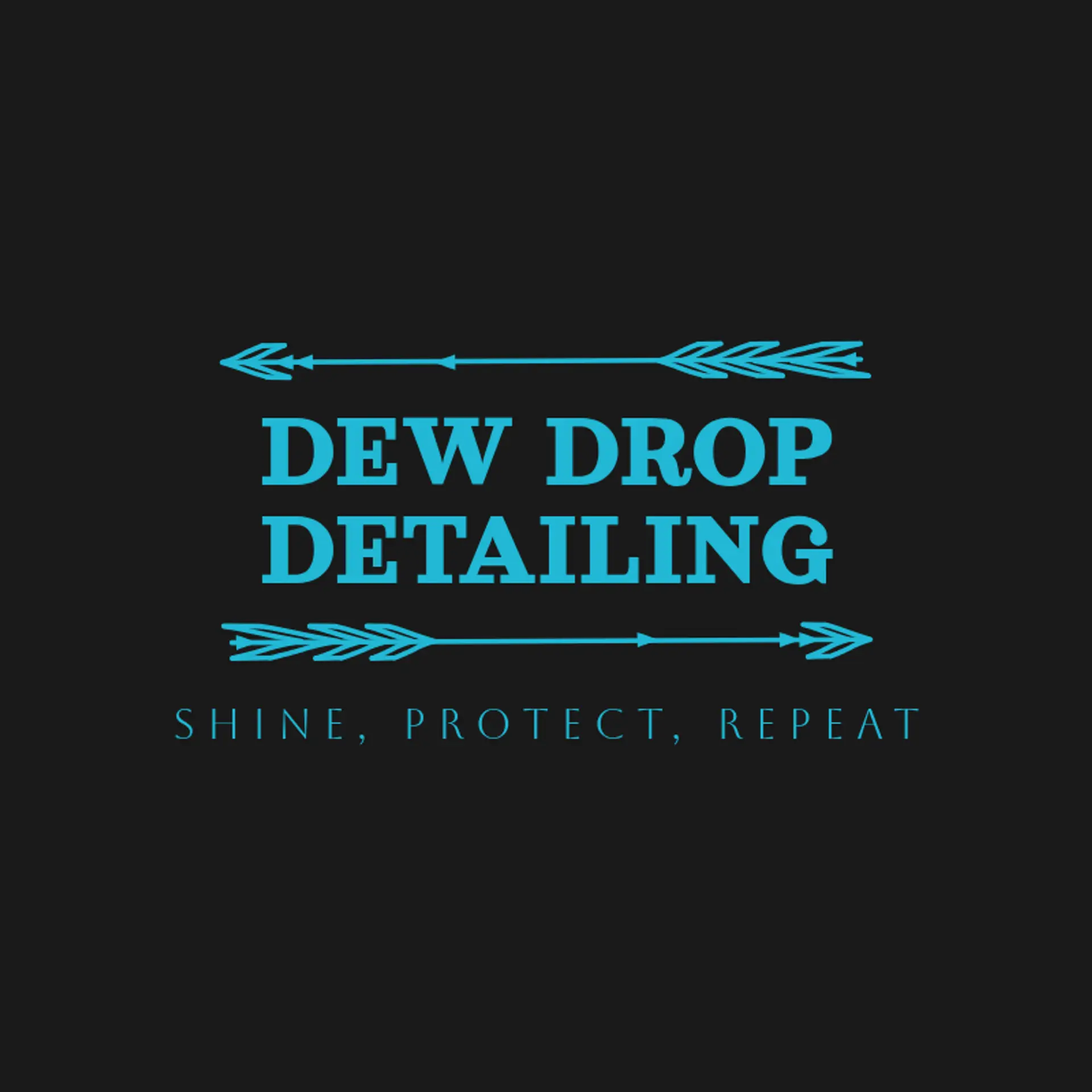 Dew Drop Detailing logo for car cleaning