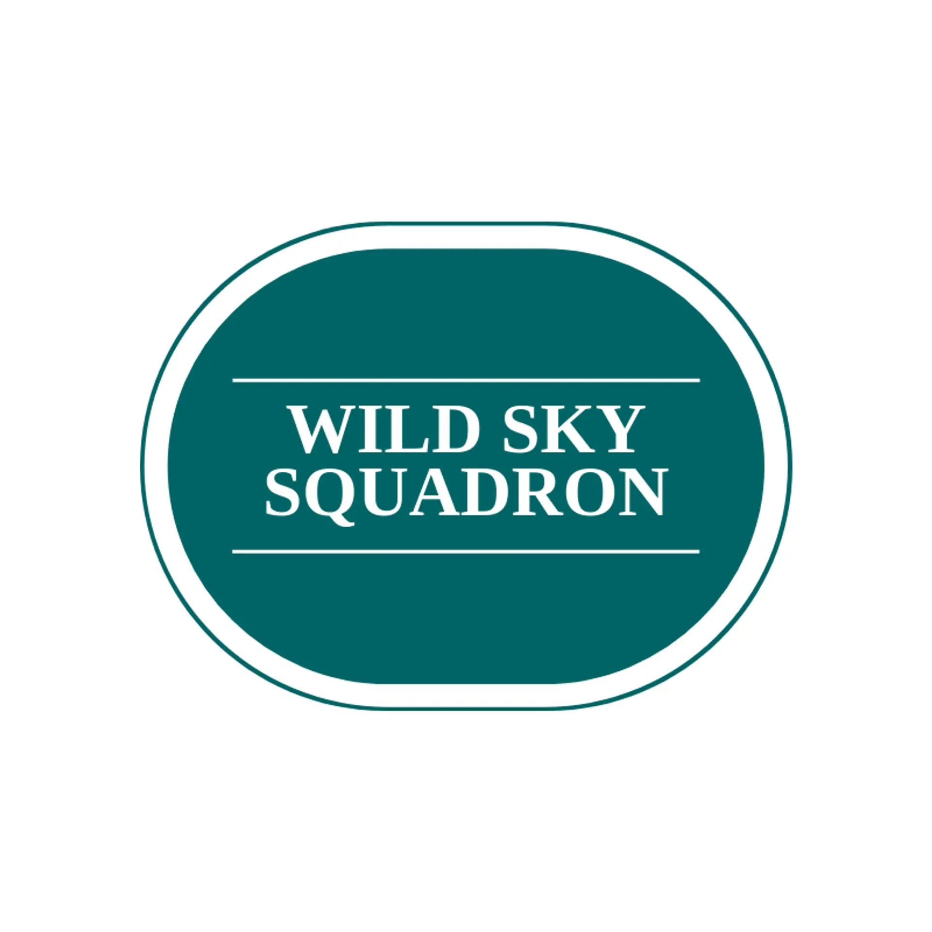 Wild Sky Squadron logo for air force