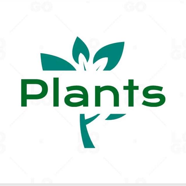 Plants Logo Maker | LOGO.com