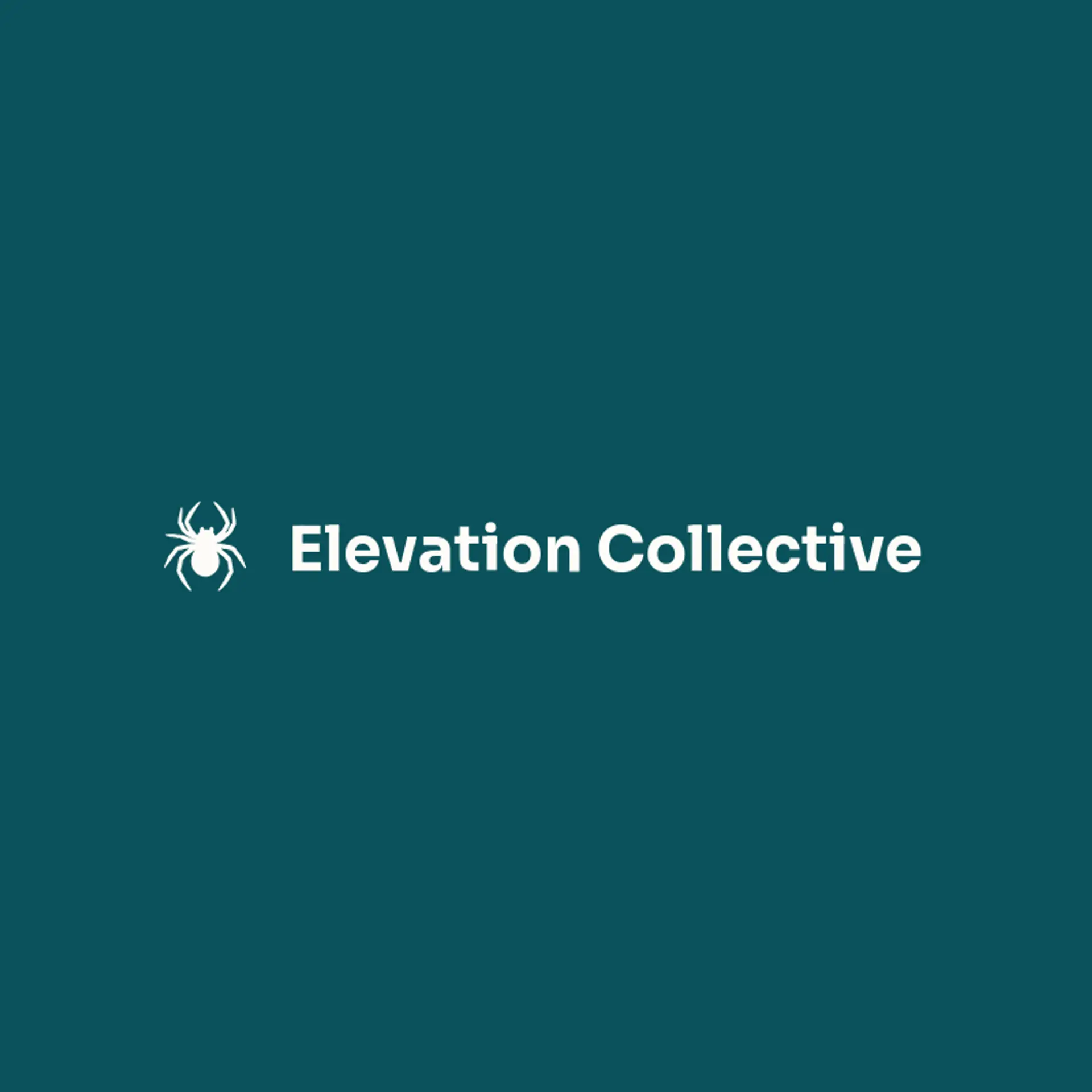 Elevation Collective logo for spider
