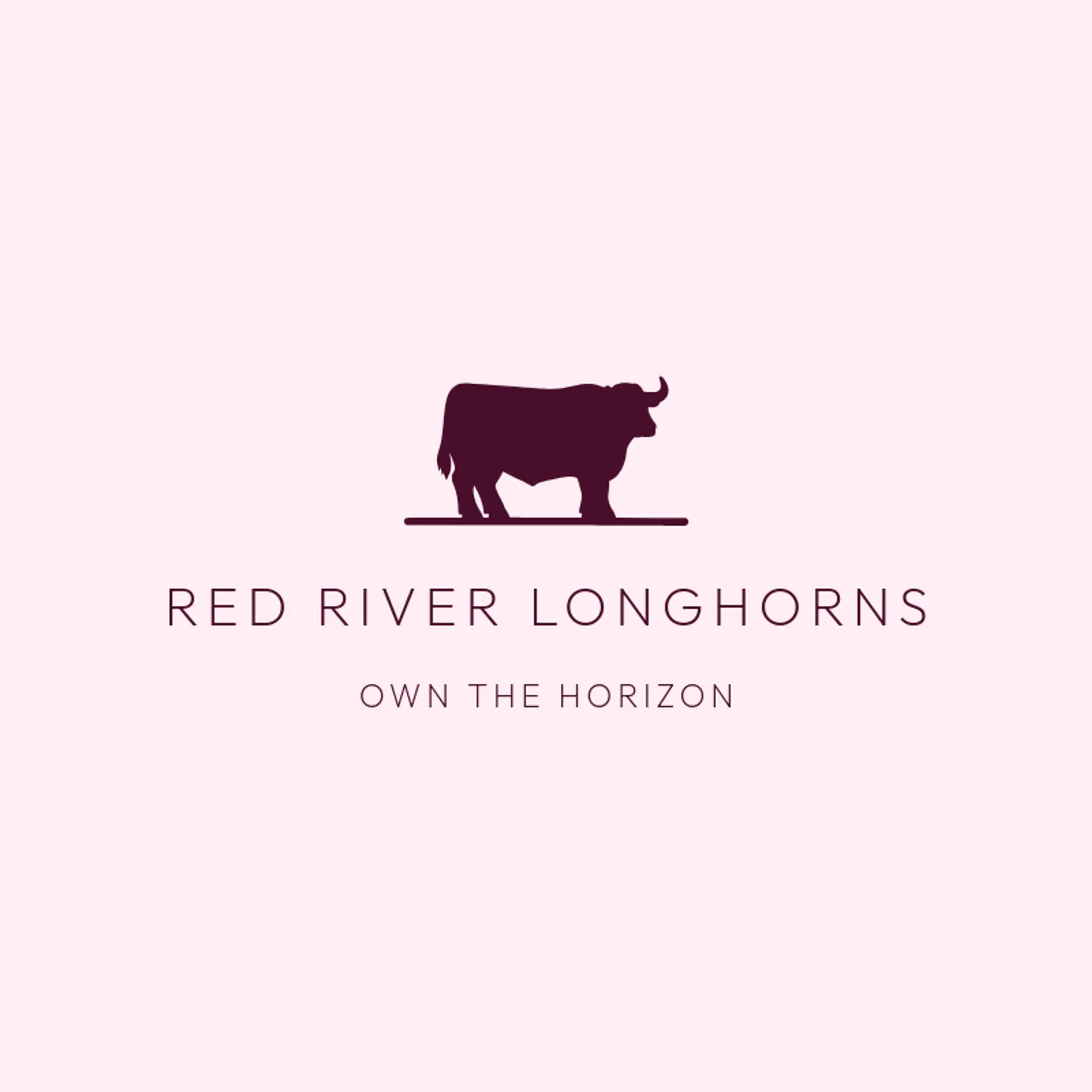 Red River Longhorns logo for dallas