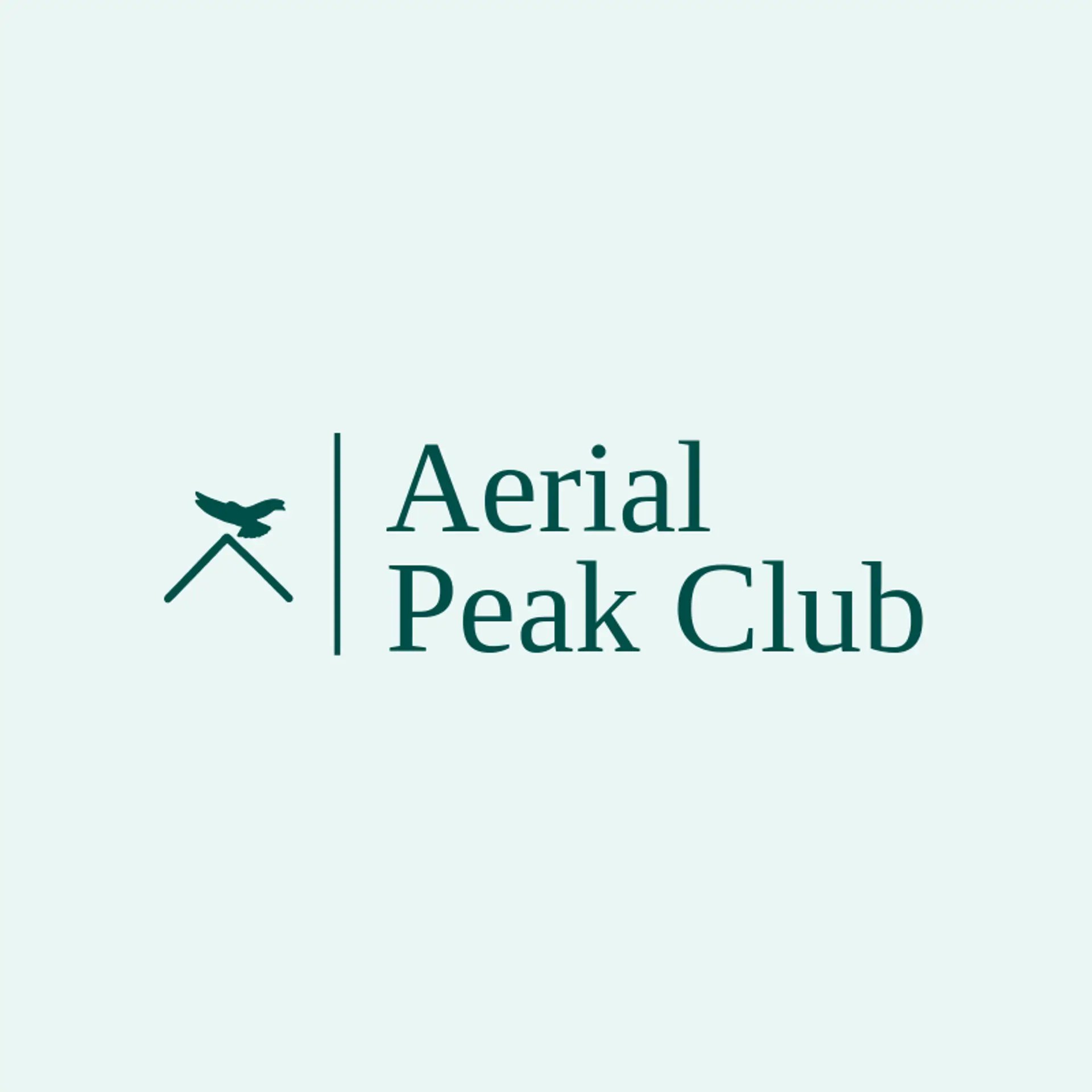 Aerial Peak Club logo for hawk