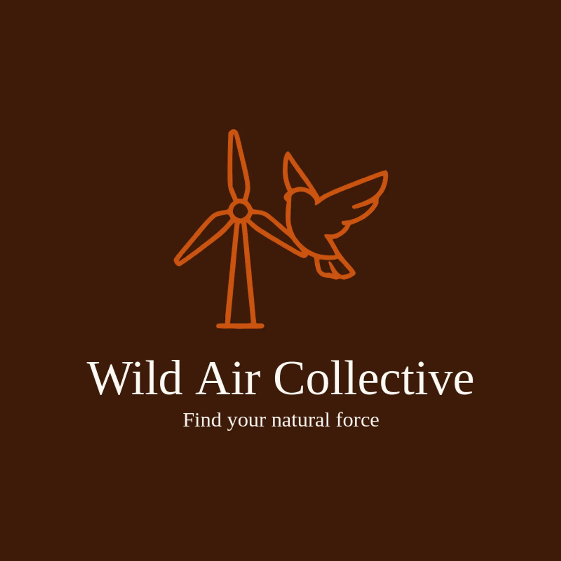 Wild Air Collective logo for wind