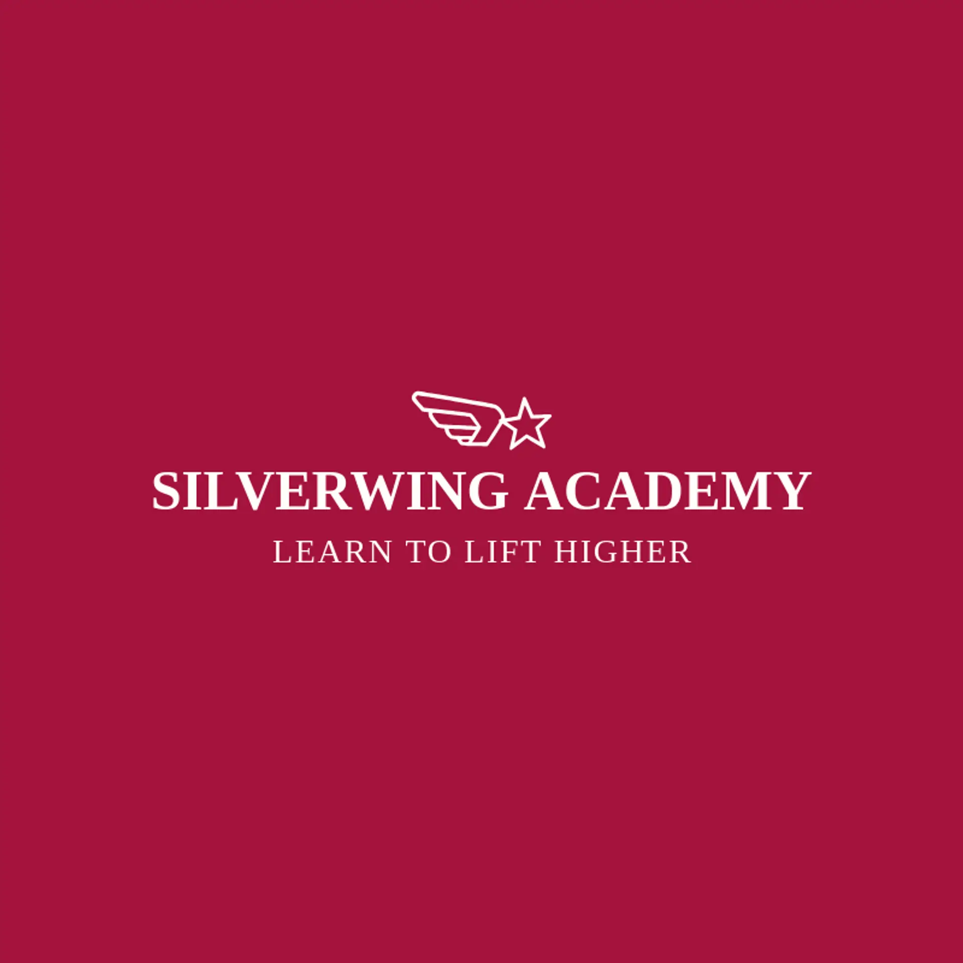 Silverwing Academy logo for airforce
