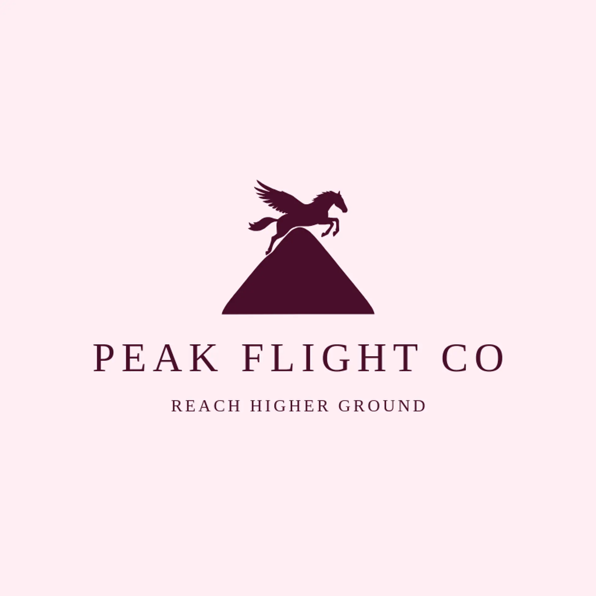 Peak Flight Co logo for pegasus