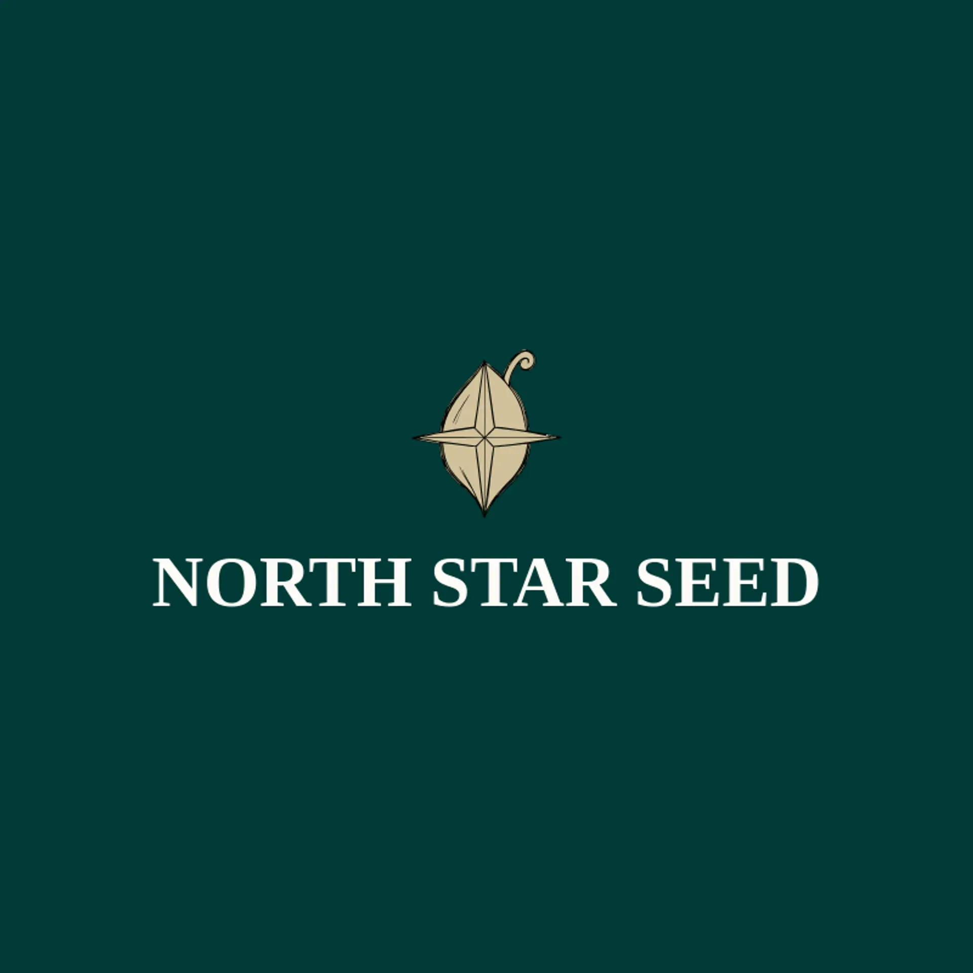 North Star Seed logo for seed