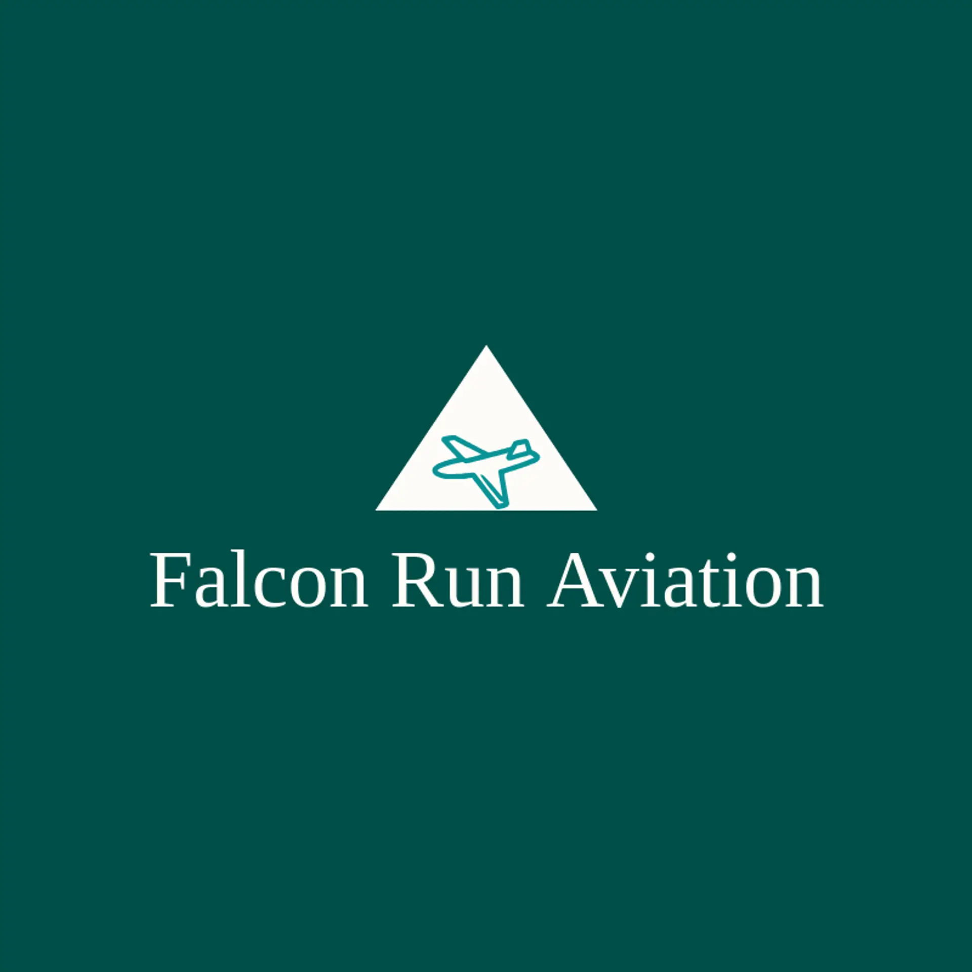 Falcon Run Aviation logo for airforce