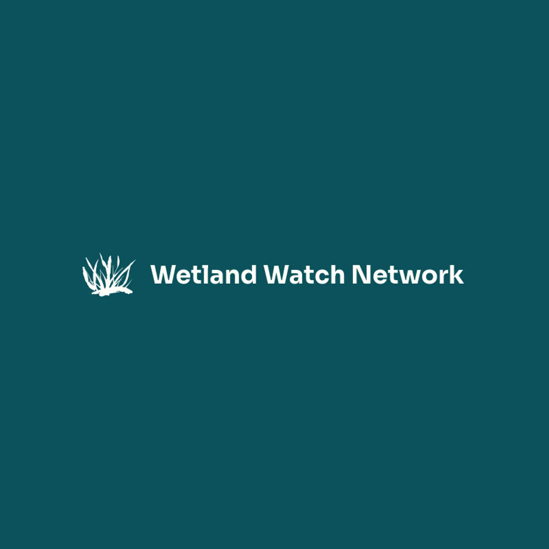 Wetland Watch Network logo for marsh