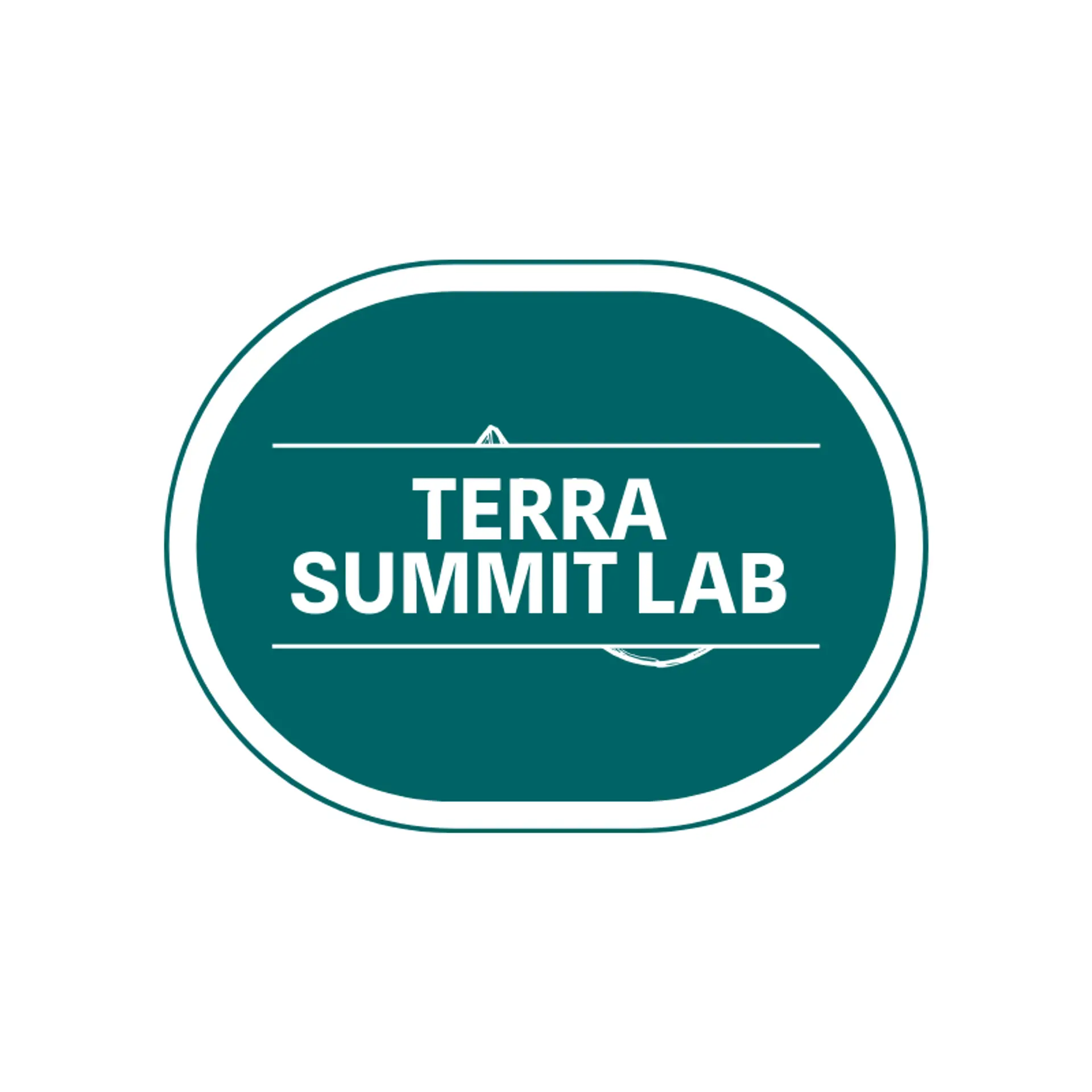 Terra Summit Lab logo for globe