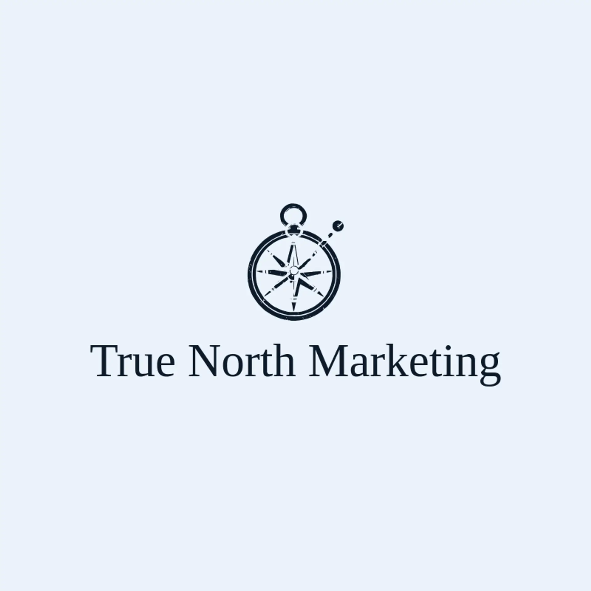 True North Marketing logo for advertising