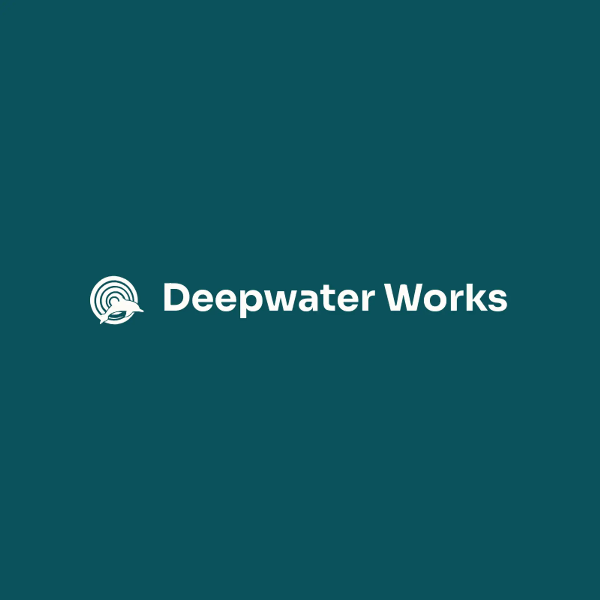 Deepwater Works logo for dolphin