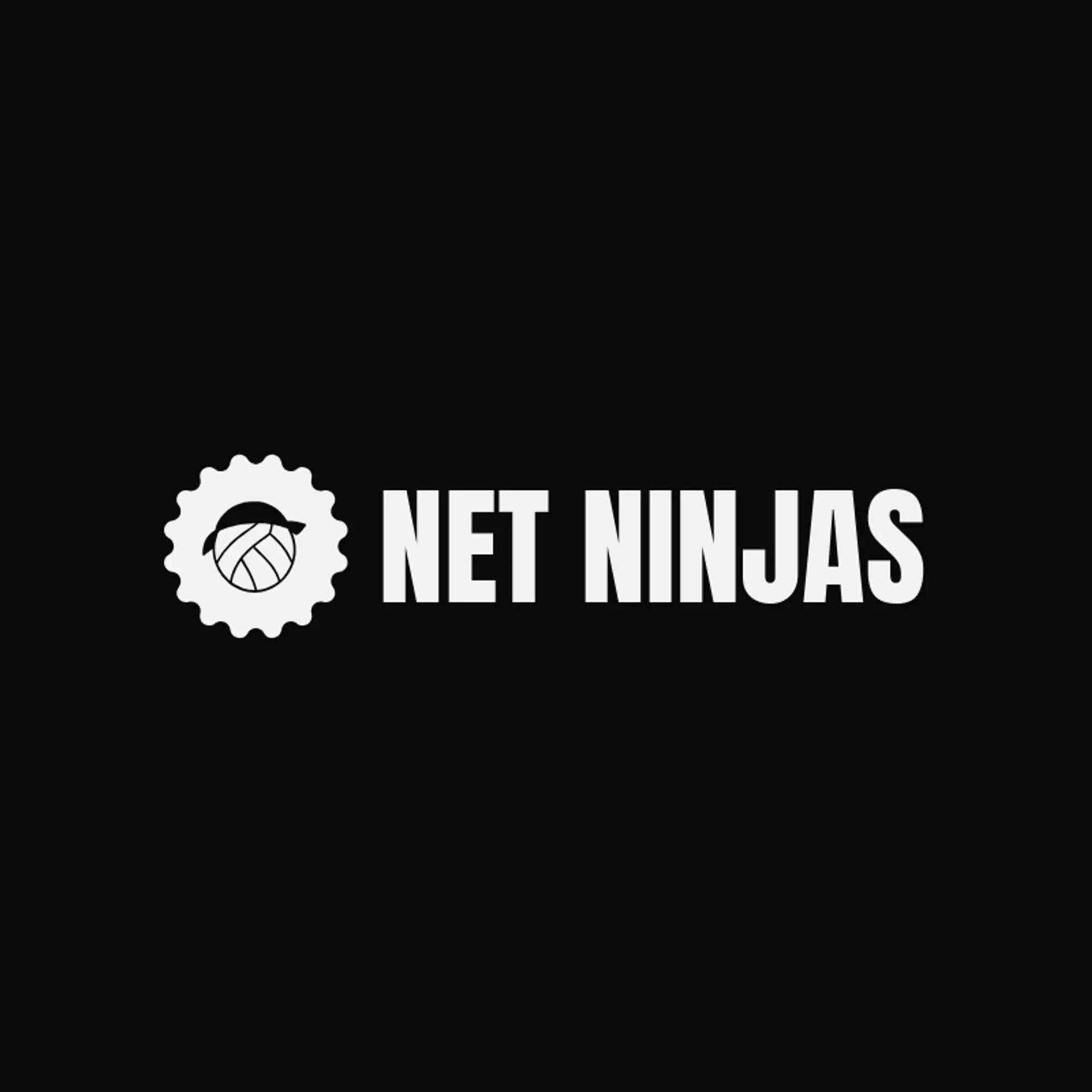 Net Ninjas logo for volleyball