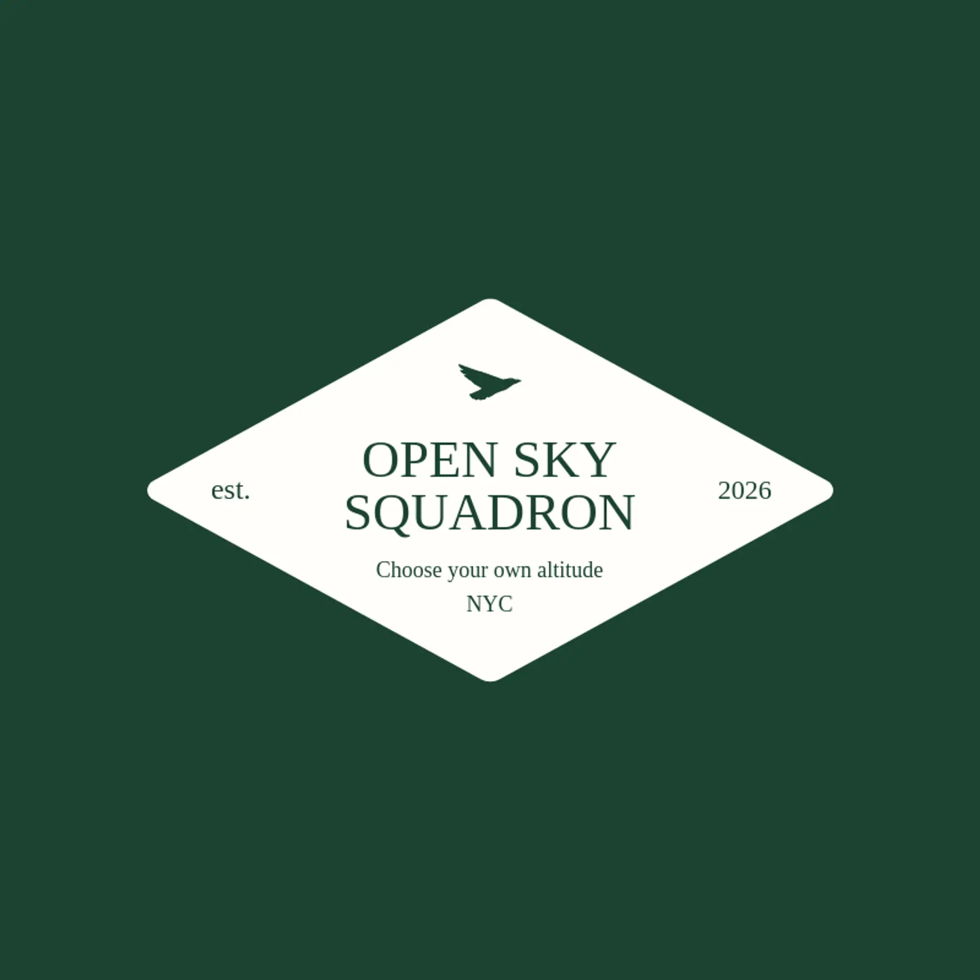 Open Sky Squadron logo for airforce