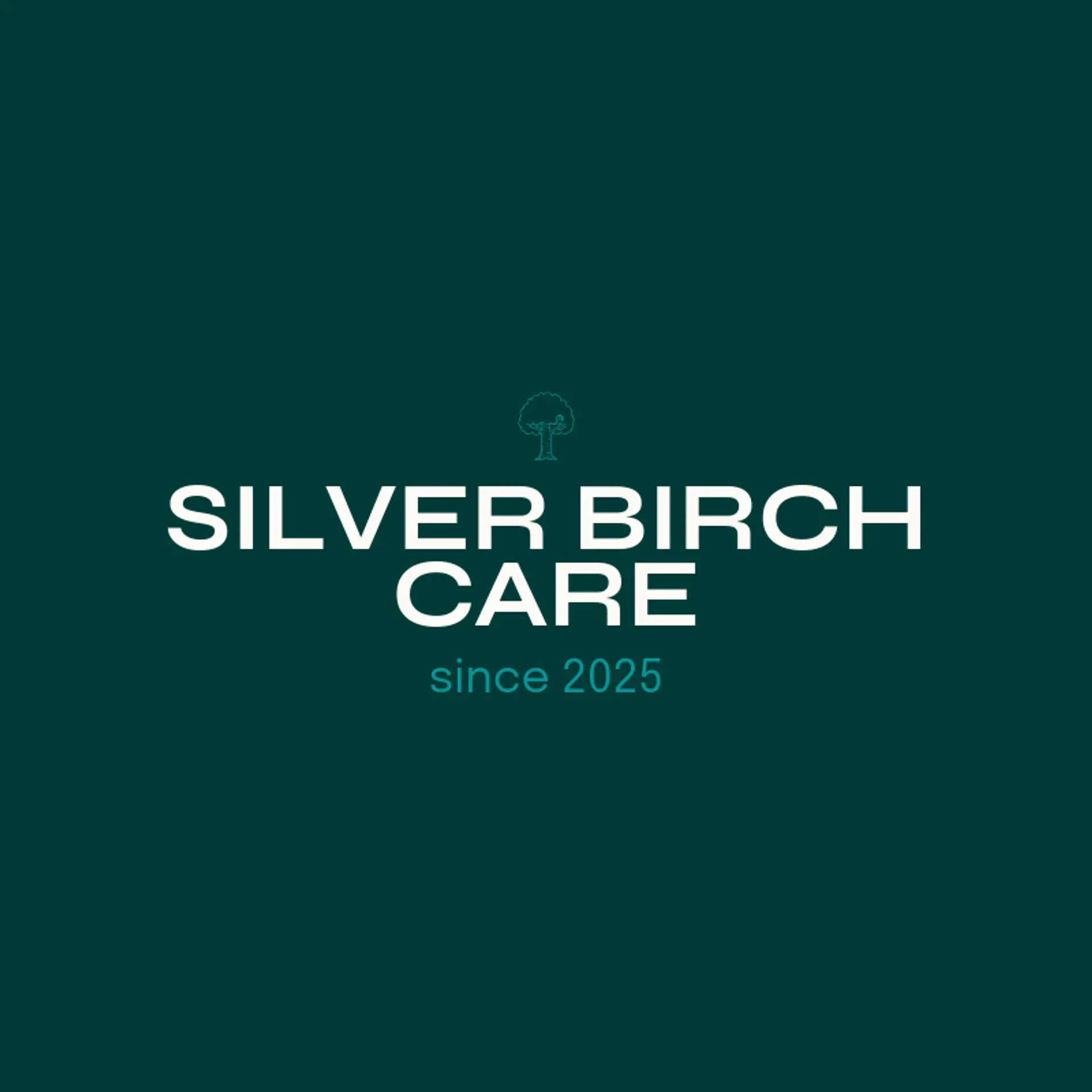 Silver Birch Care logo for care