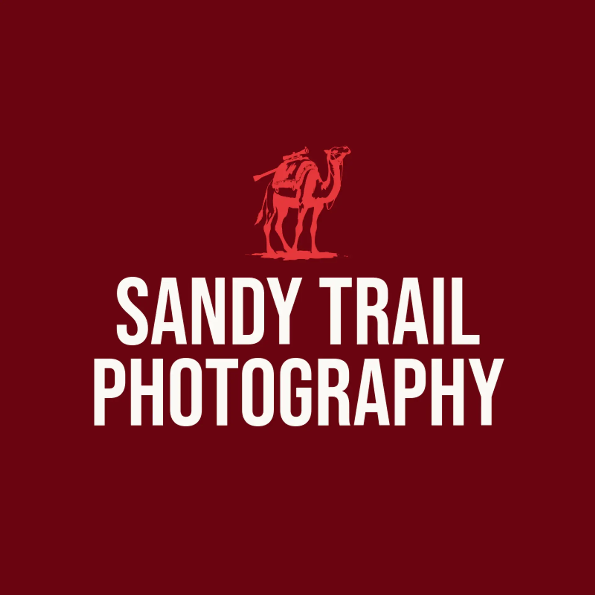 Sandy Trail Photography logo for camel