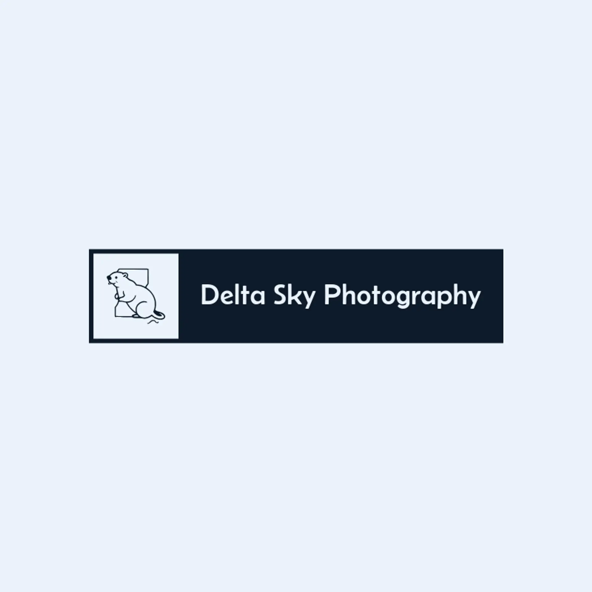 Delta Sky Photography logo for mississippi