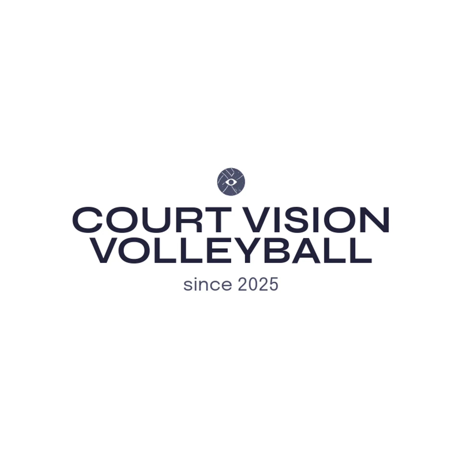 Court Vision Volleyball logo for volleyball