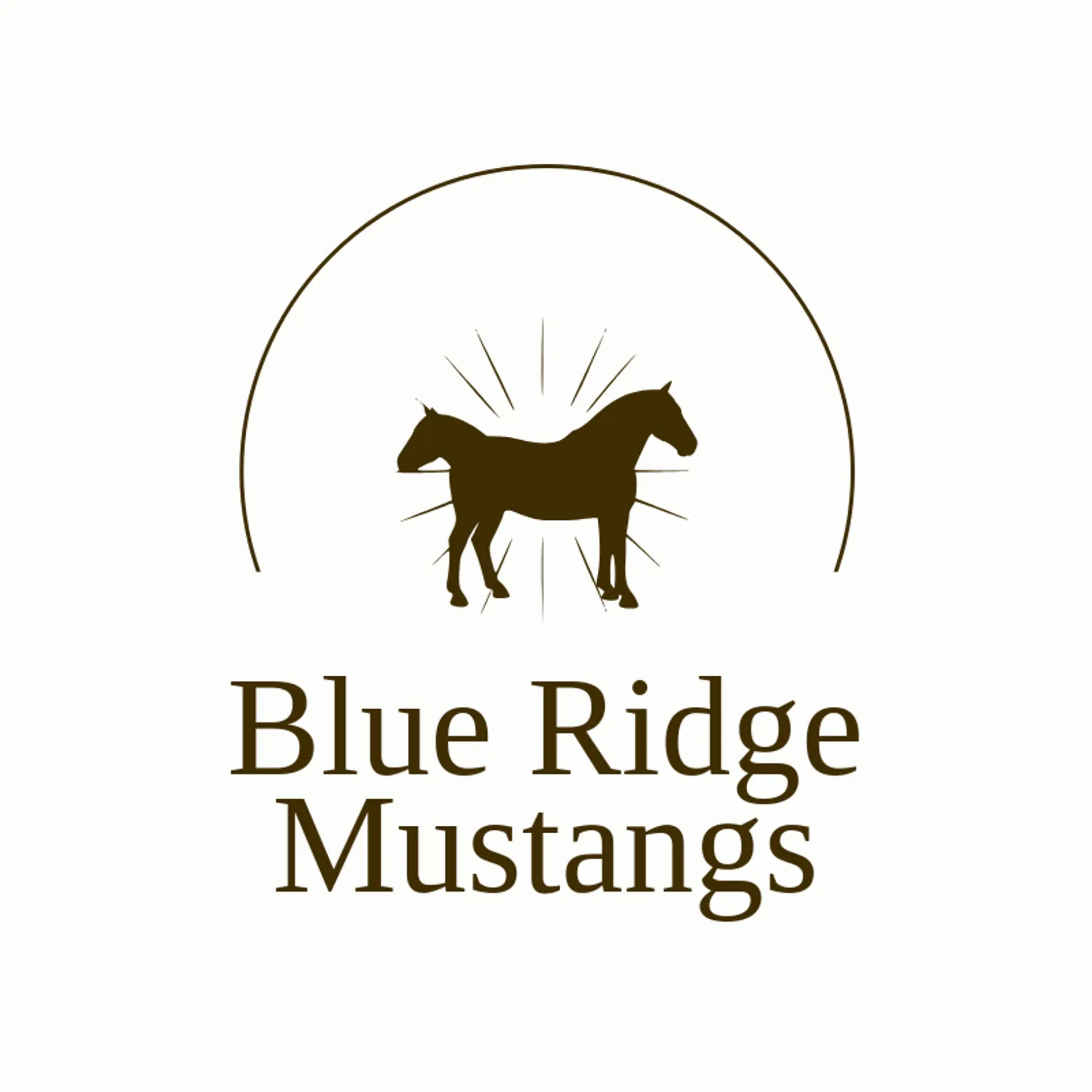 Blue Ridge Mustangs logo for mustang