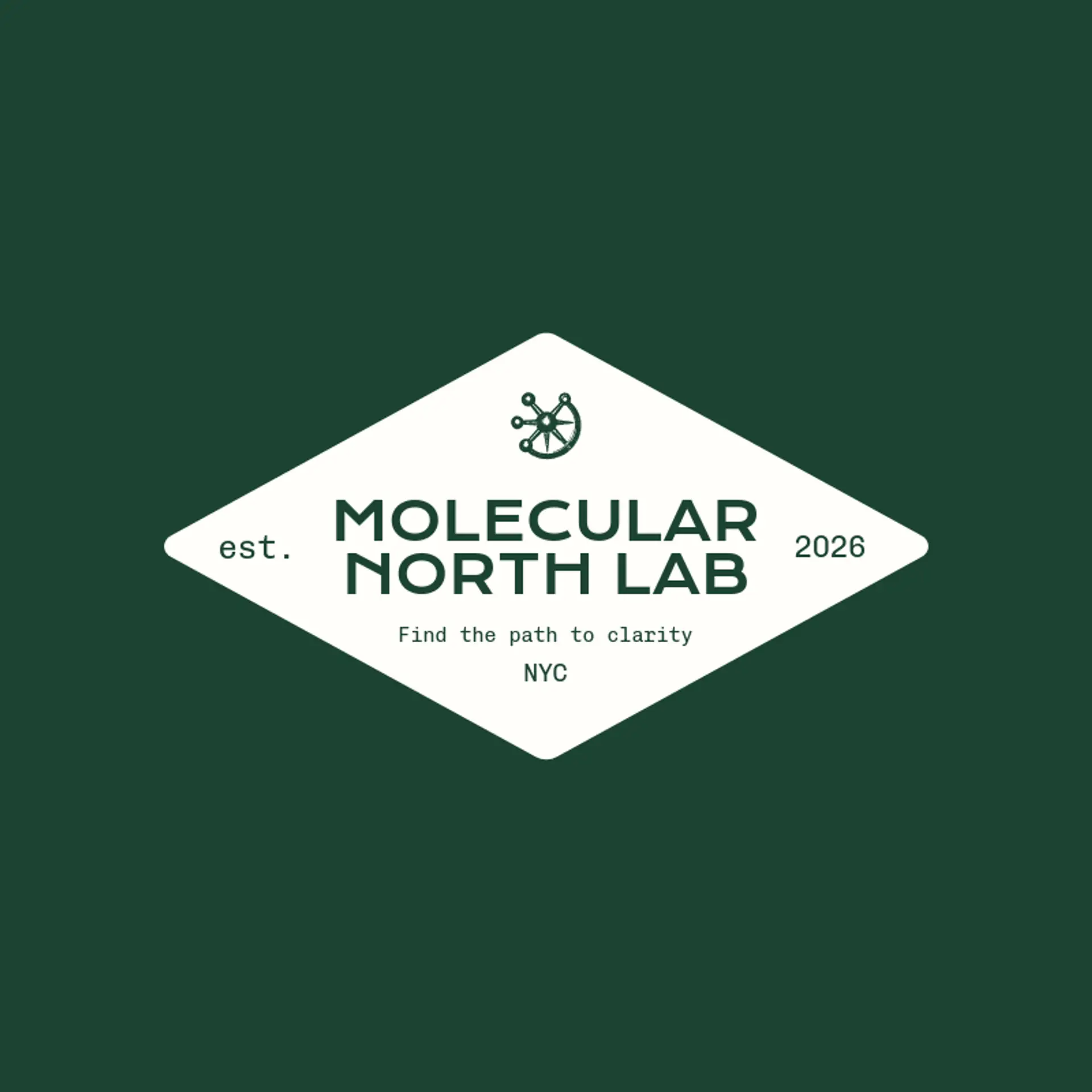 Molecular North Lab logo for diagnostics