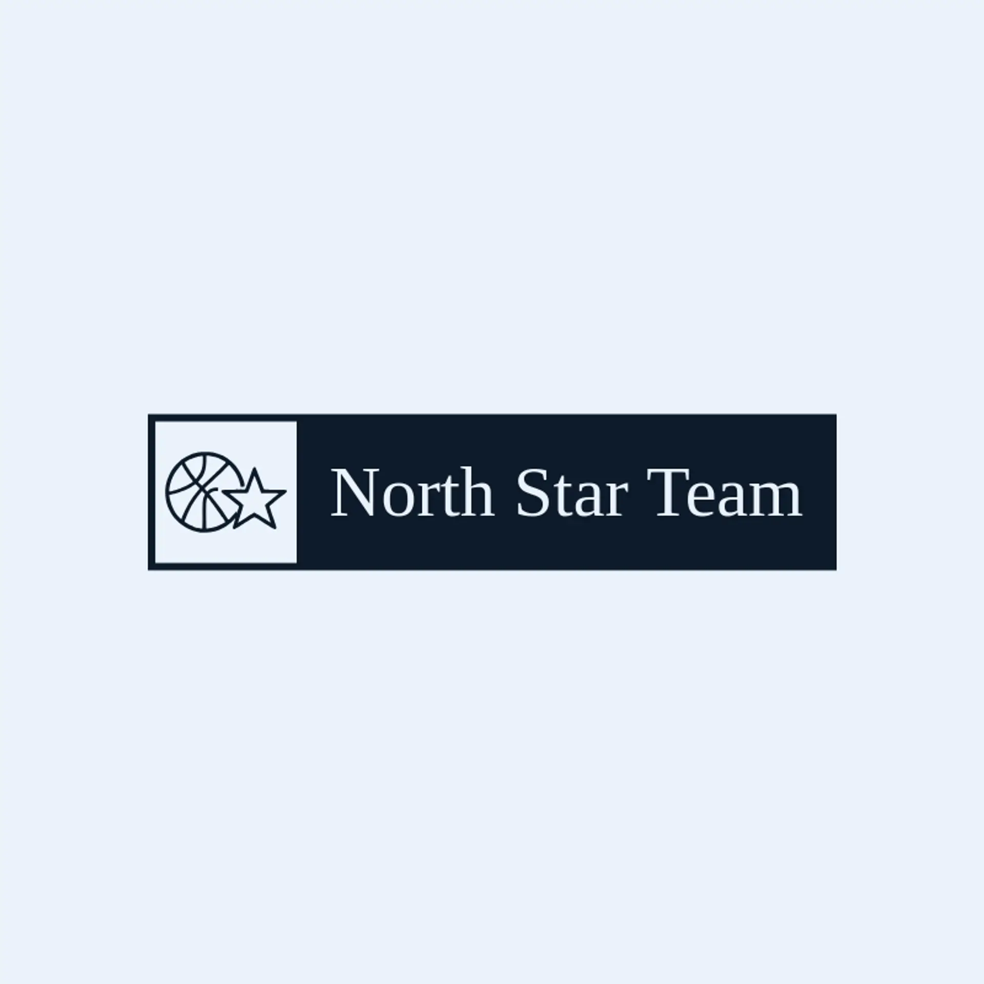 North Star Team logo for basketball team