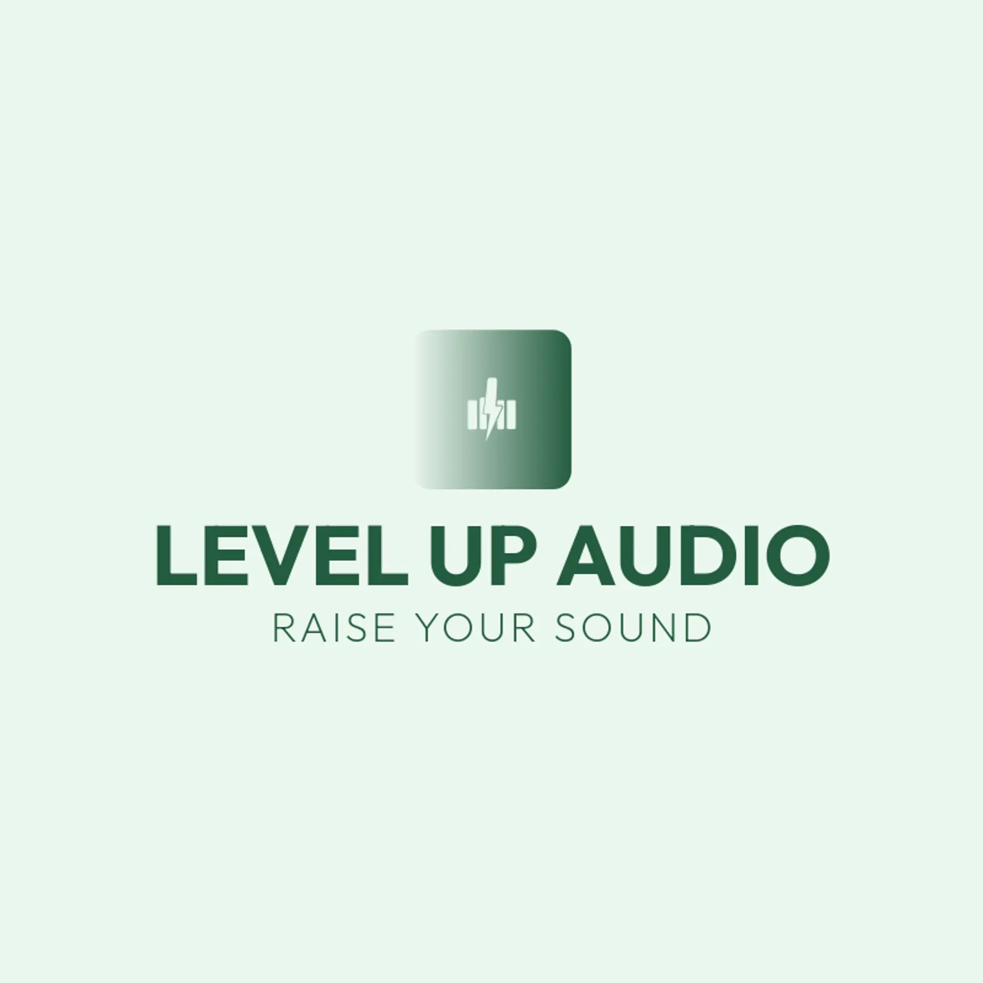 Level Up Audio logo for audio