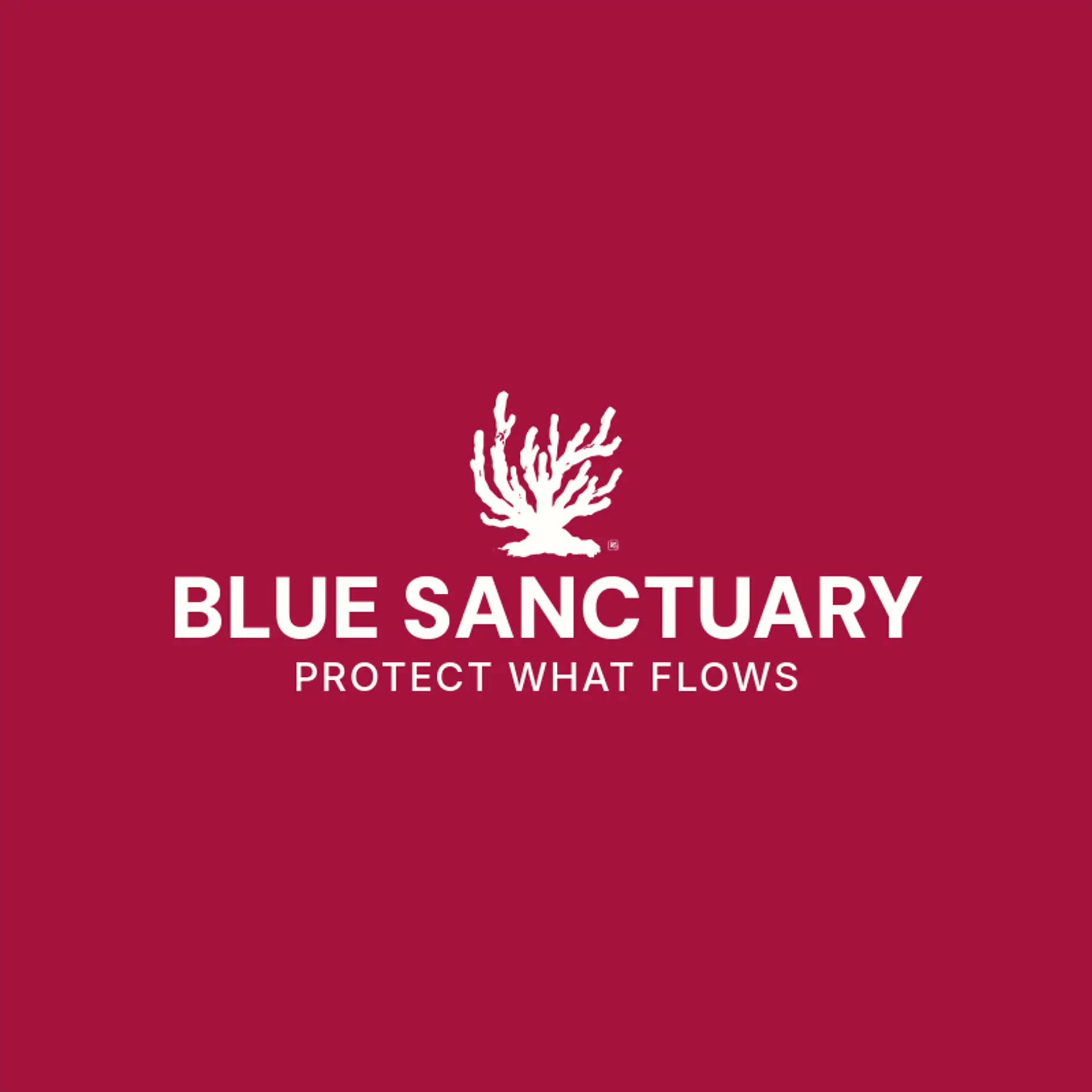 Blue Sanctuary logo for reef