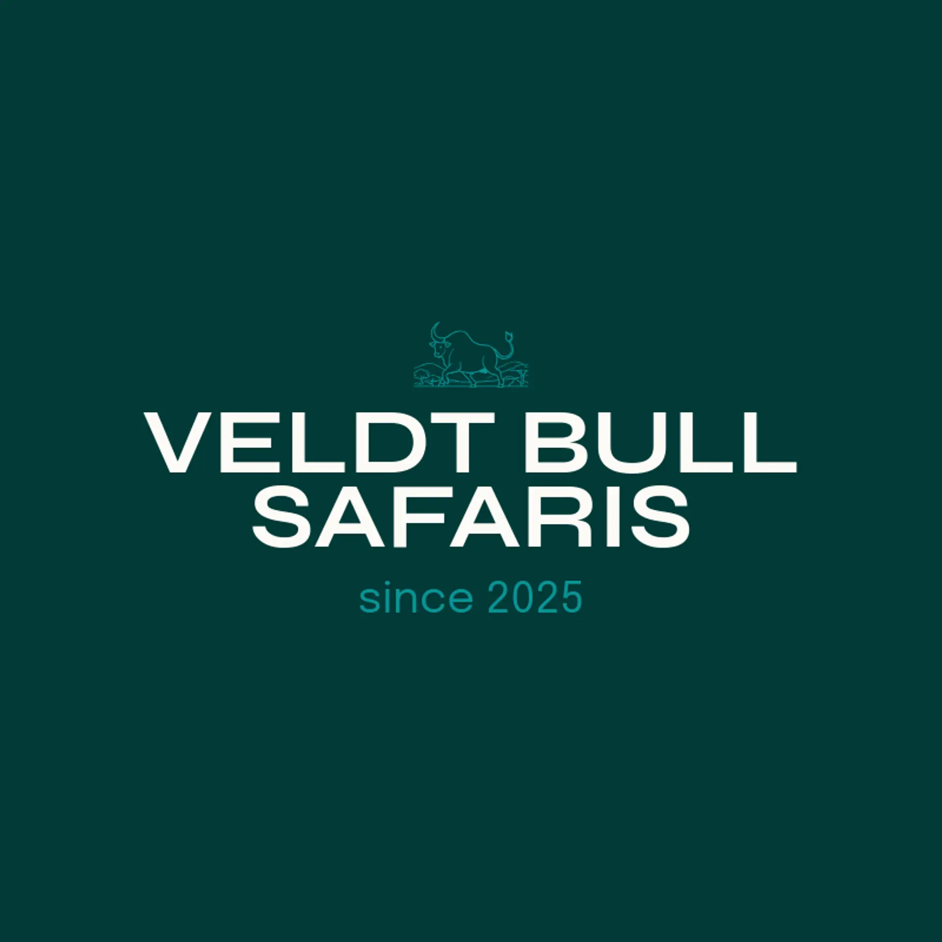 Veldt Bull Safaris logo for bull