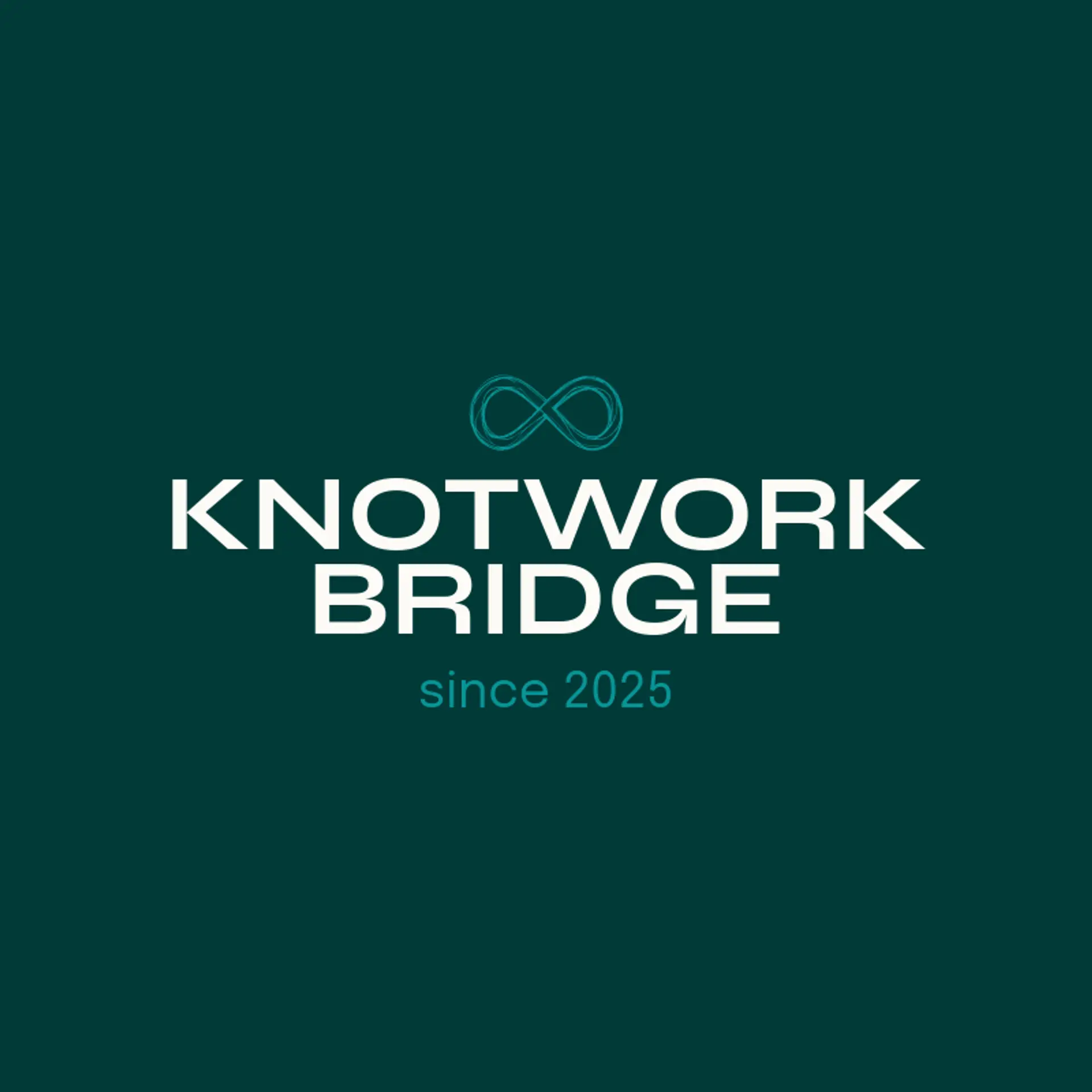 Knotwork Bridge logo for infinity