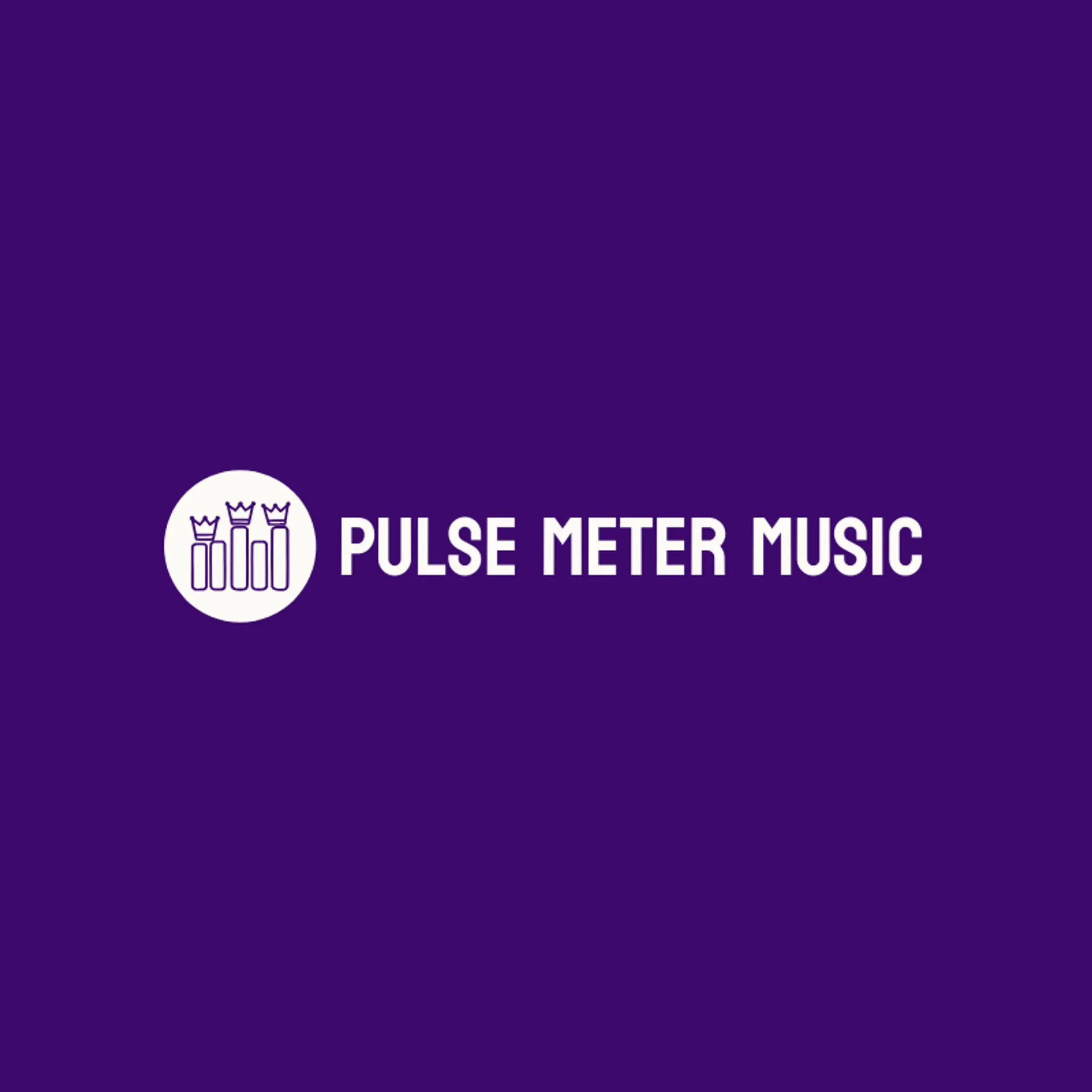 Pulse Meter Music logo for bass