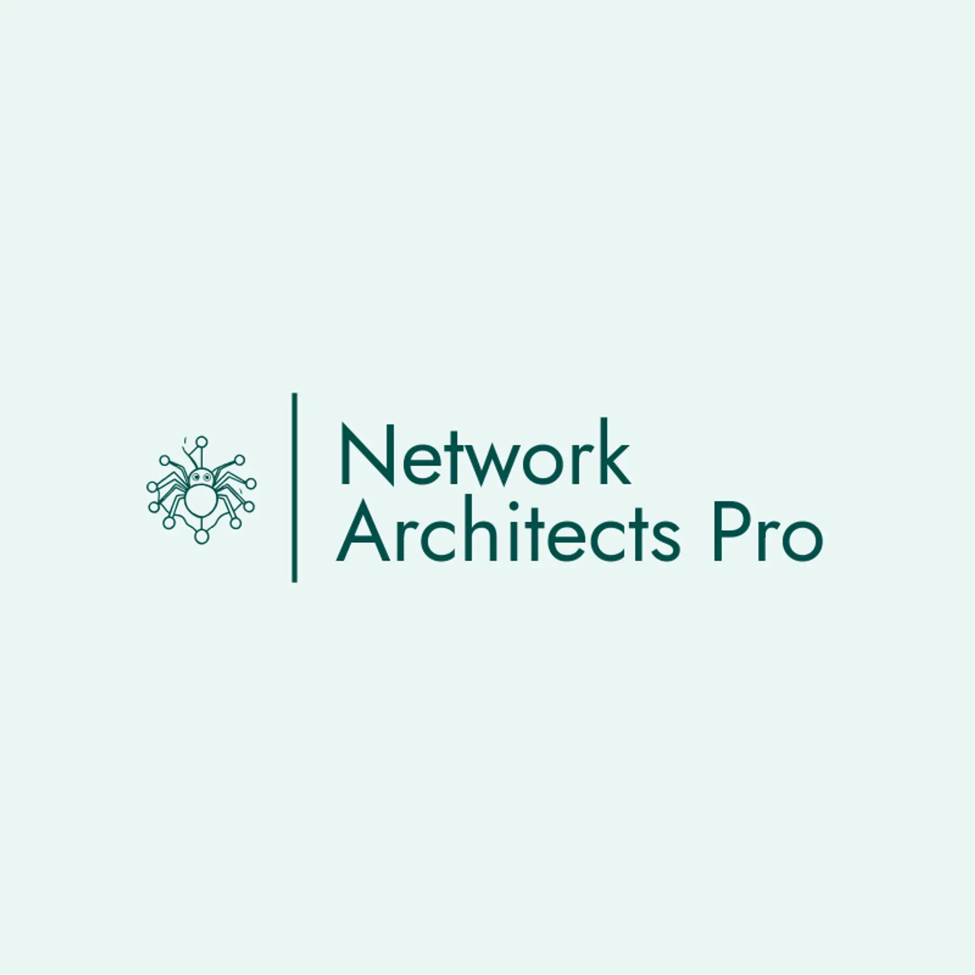 Network Architects Pro logo for spider