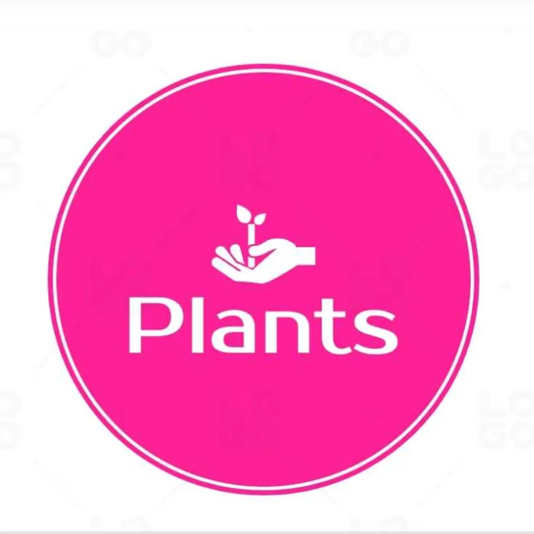 Plants