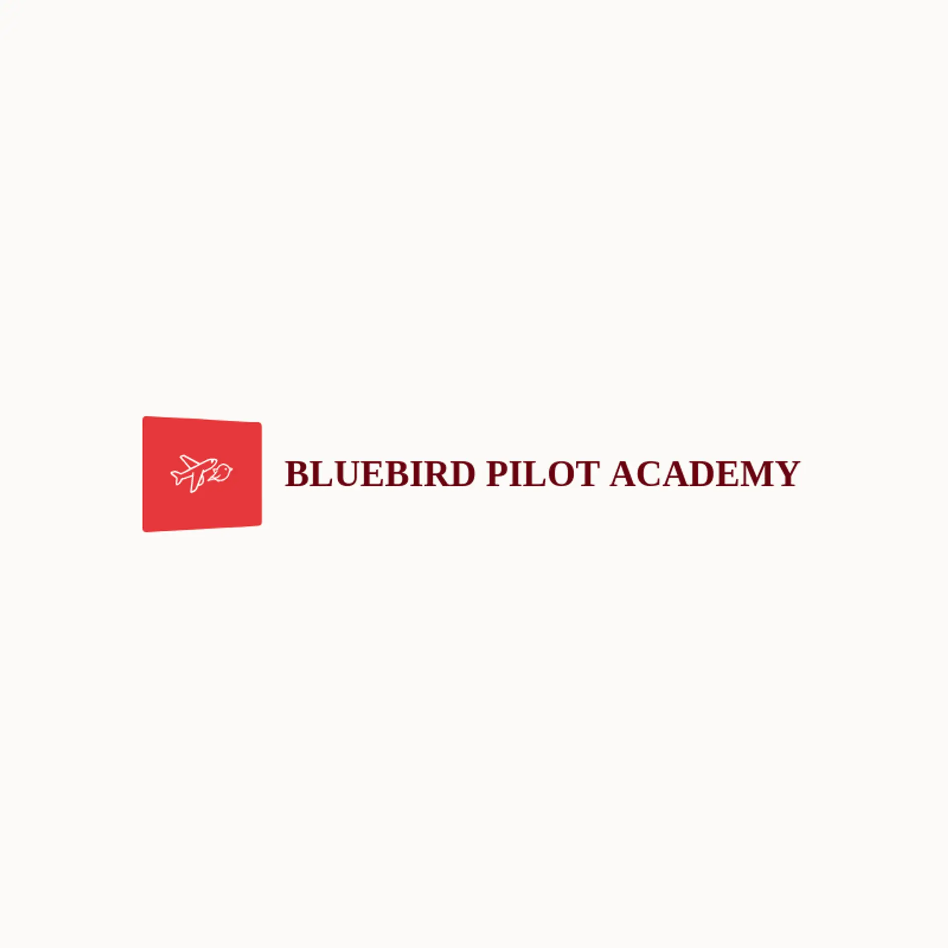 Bluebird Pilot Academy logo for flight