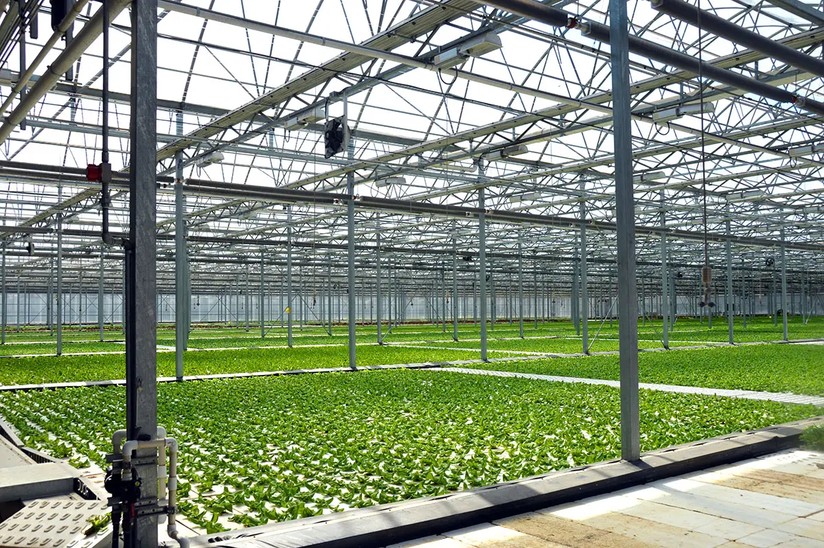 Green City Growers in Cleveland | Source