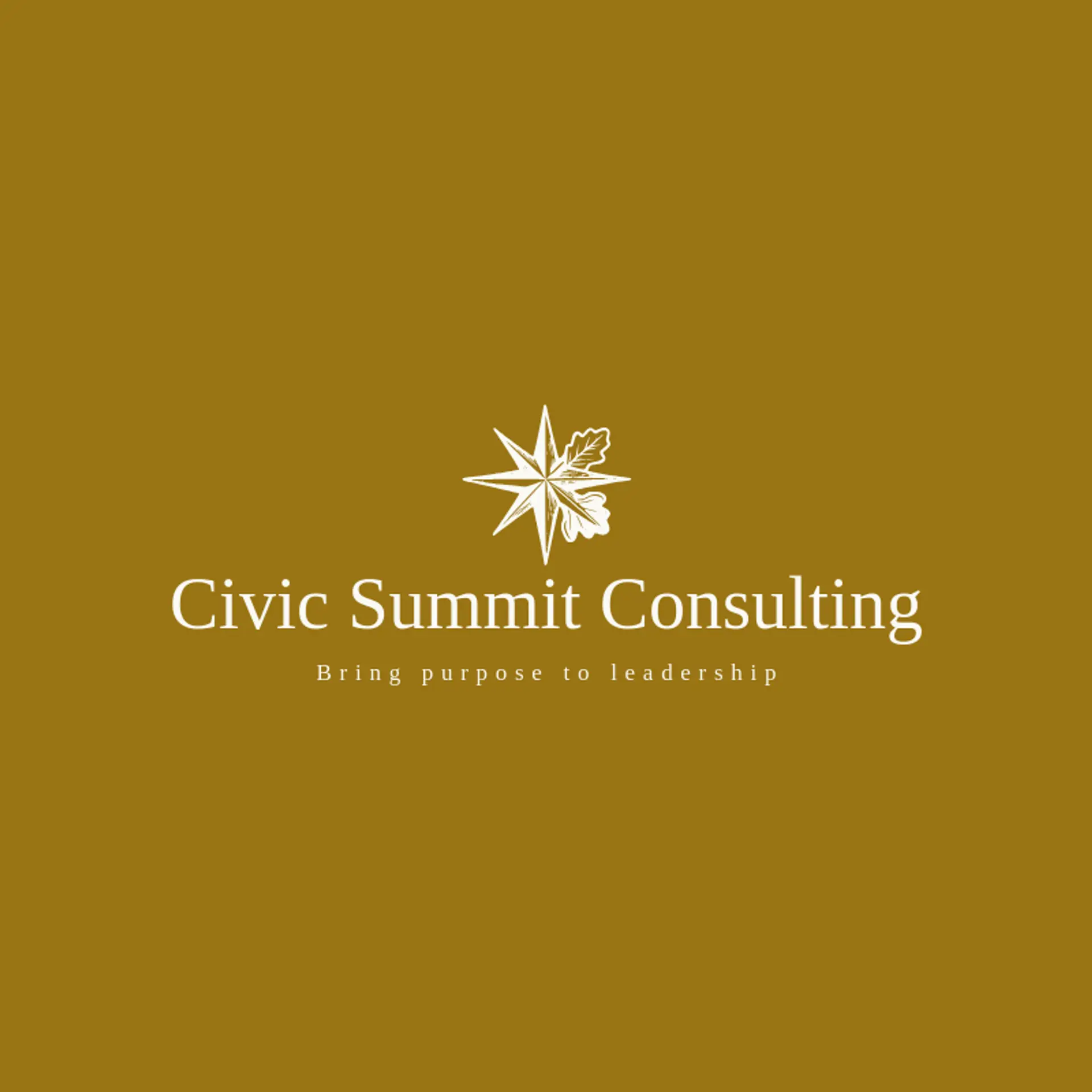 Civic Summit Consulting logo for executive