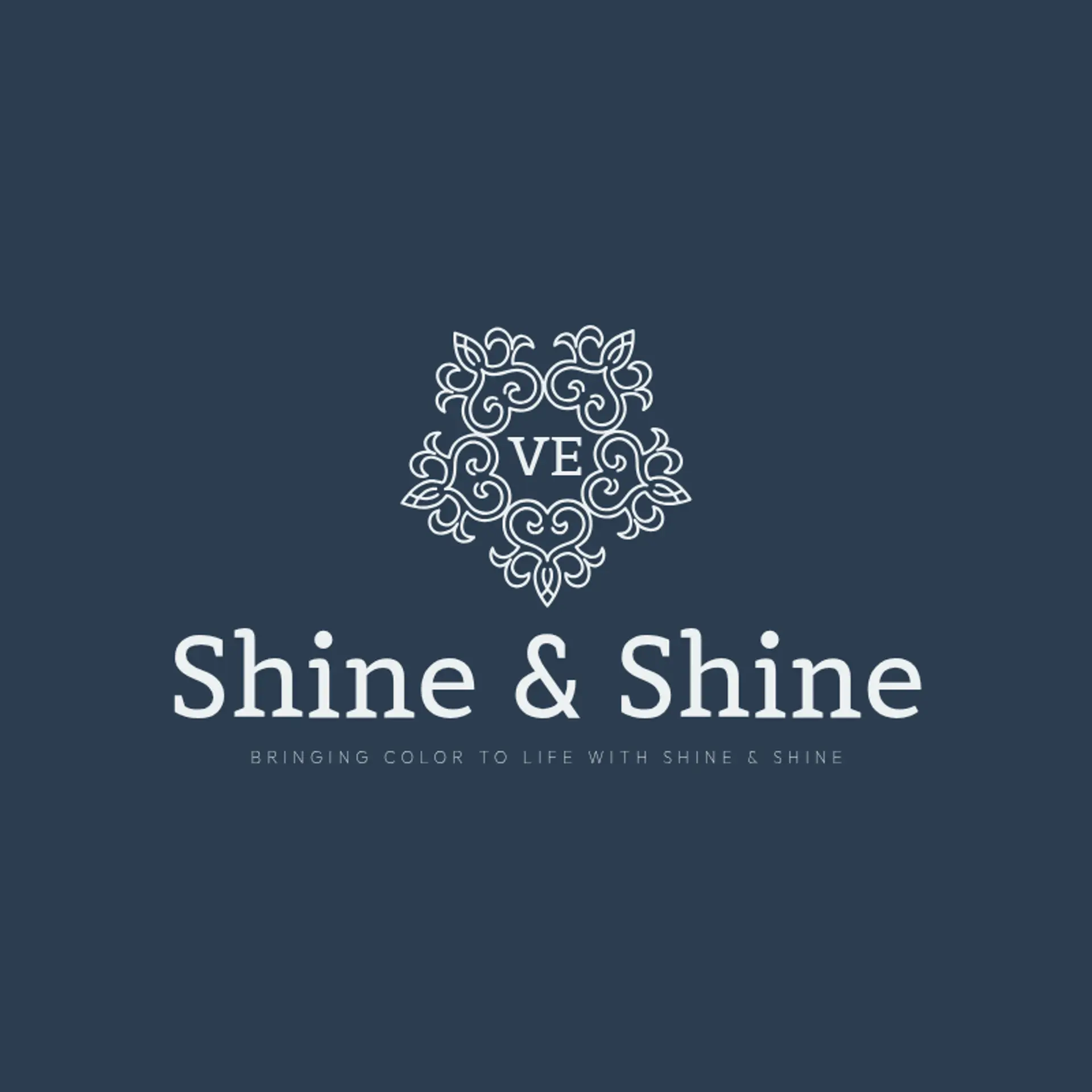Shine & Shine logo for construction painting
