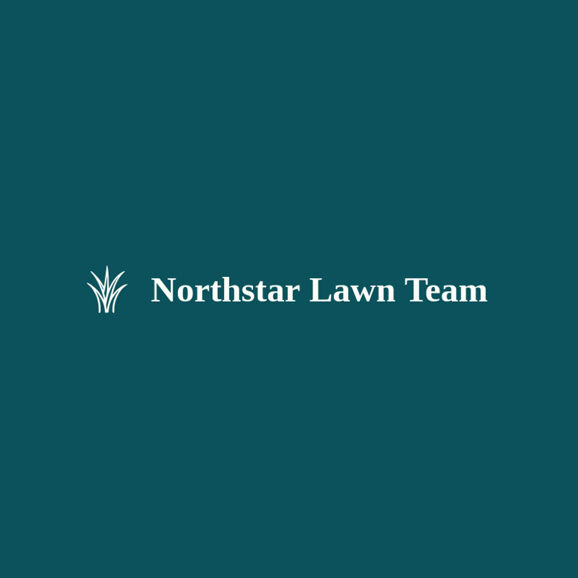 Northstar Lawn Team logo for lawn service