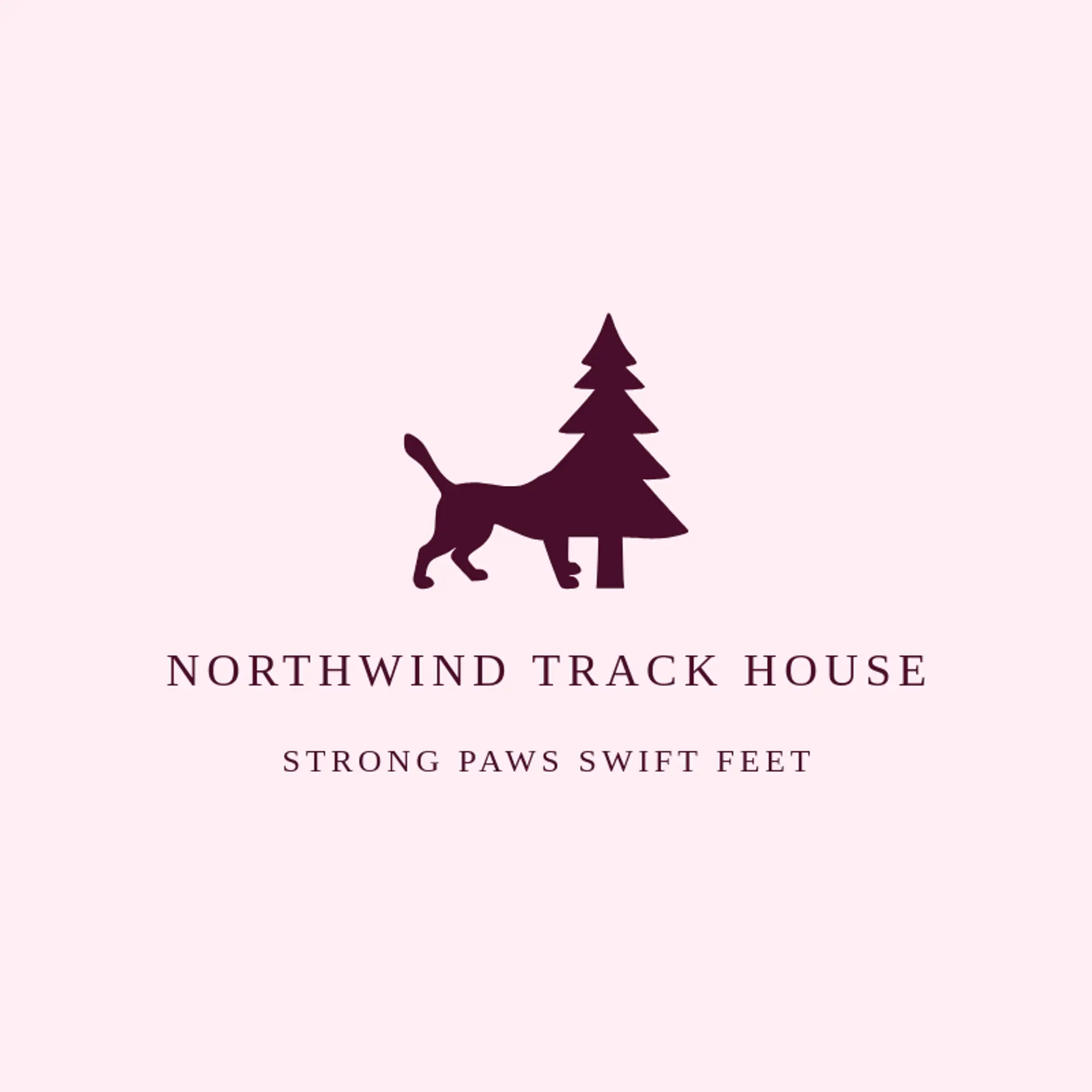 Northwind Track House logo for puma