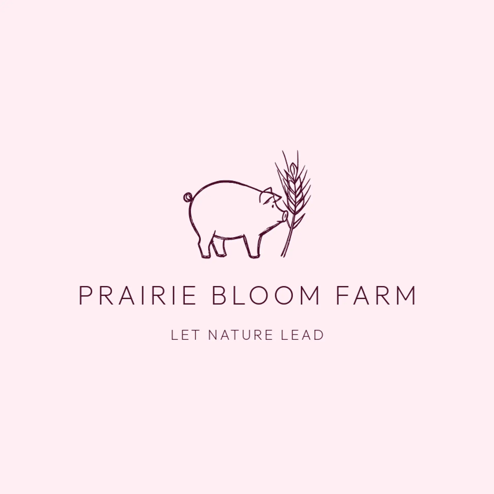 Prairie Bloom Farm logo for farm
