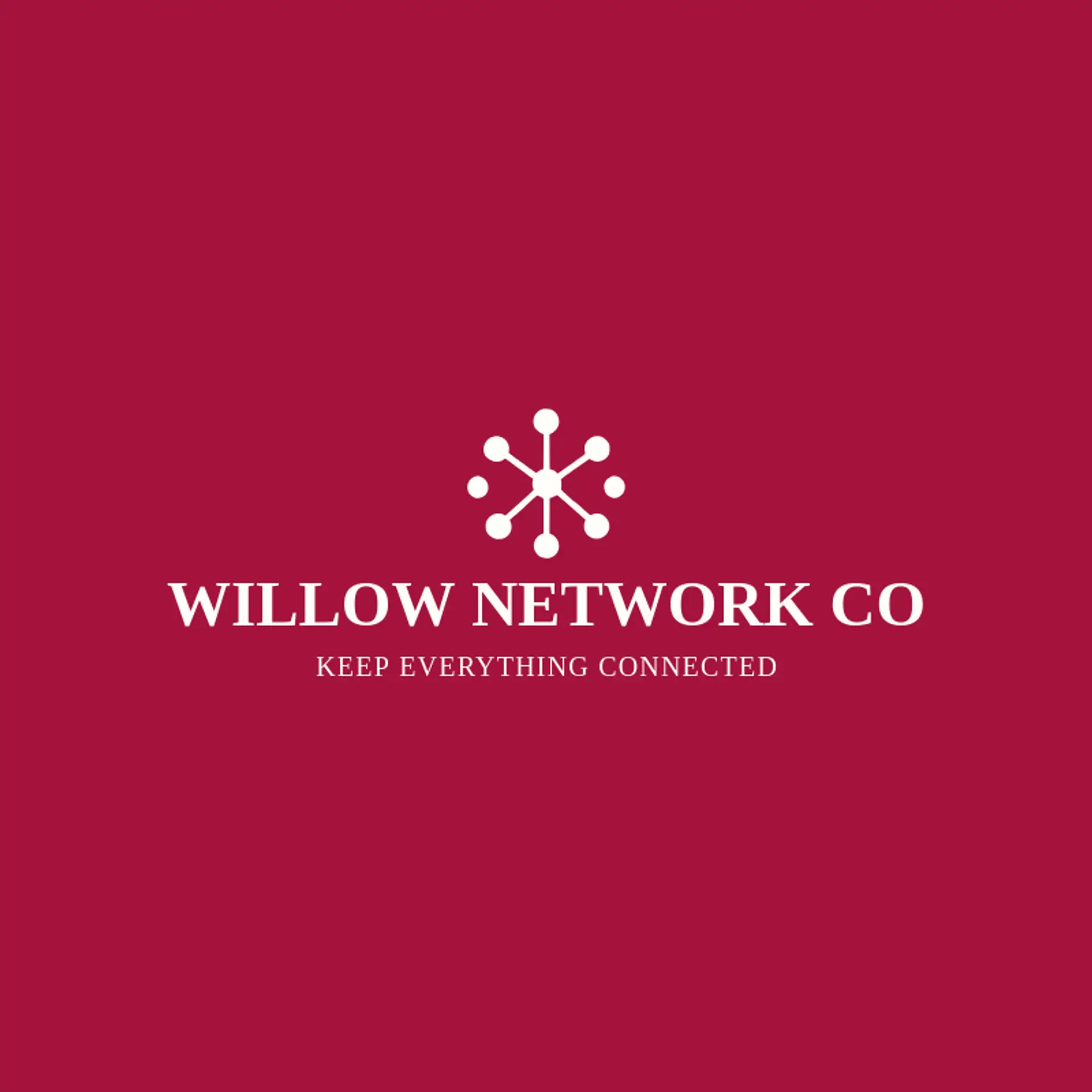 Willow Network Co logo for information technology