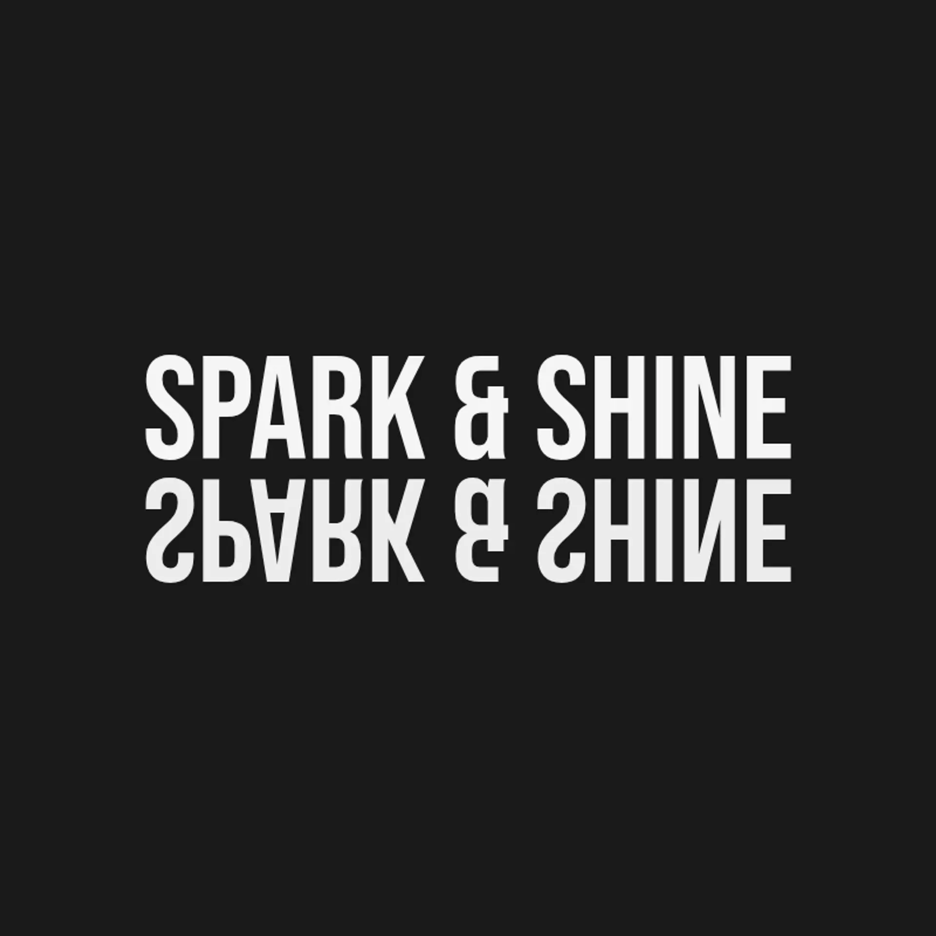 Spark & Shine logo for auto spa