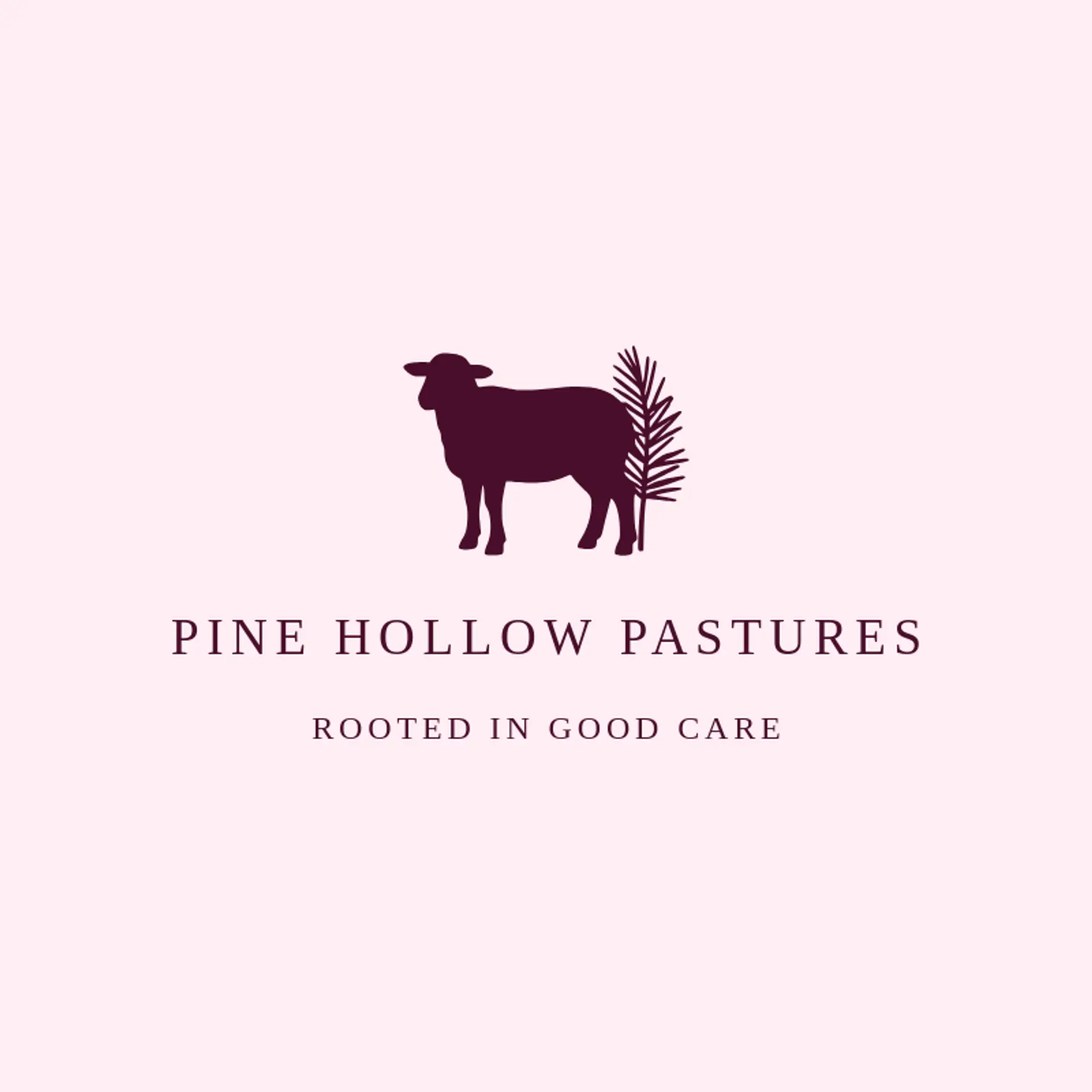 Pine Hollow Pastures logo for lamb