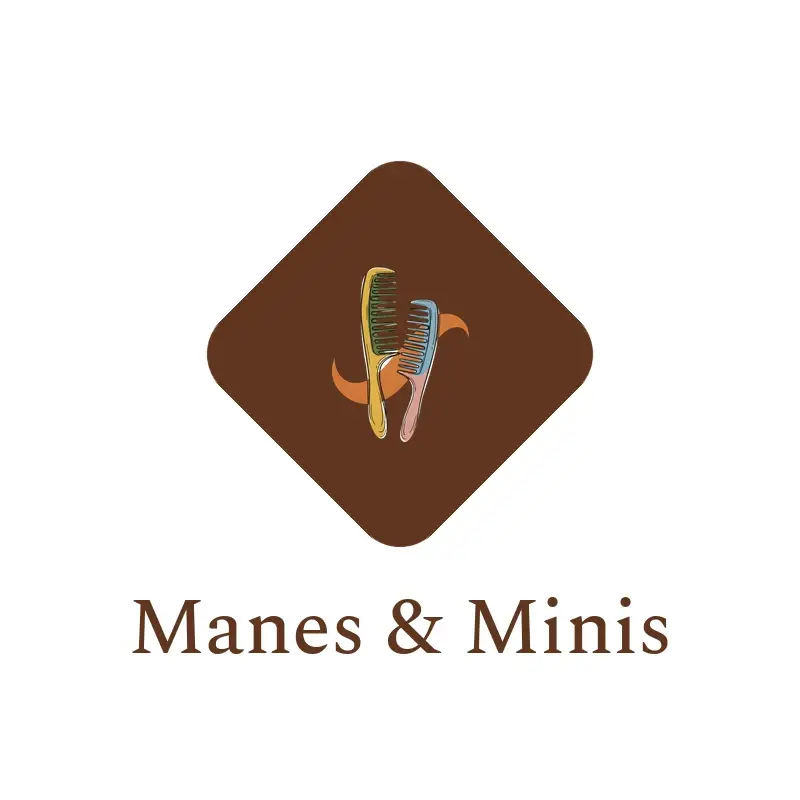 The salon name Manes & Minis as a branded logo in an illustration style