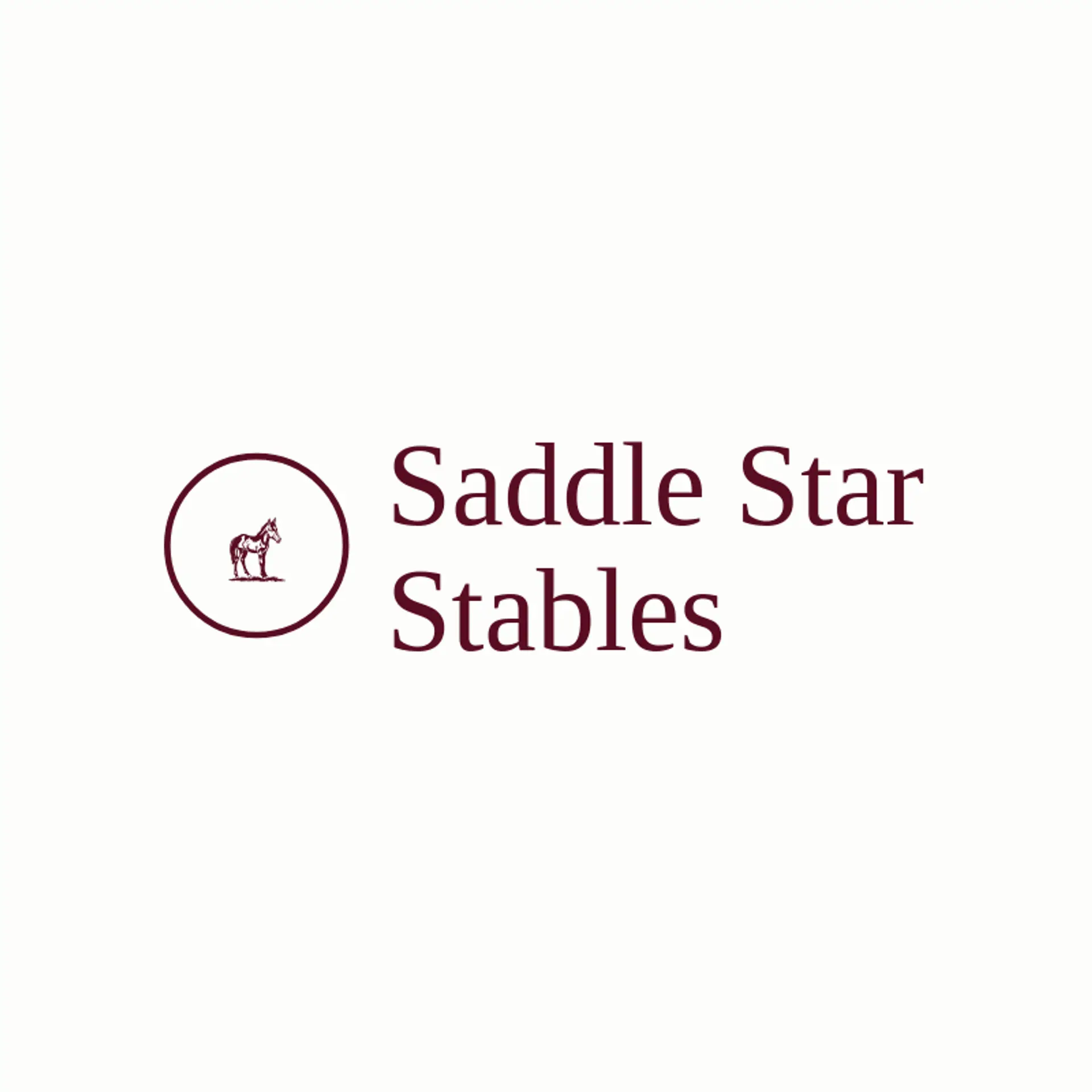 Saddle Star Stables logo for colt
